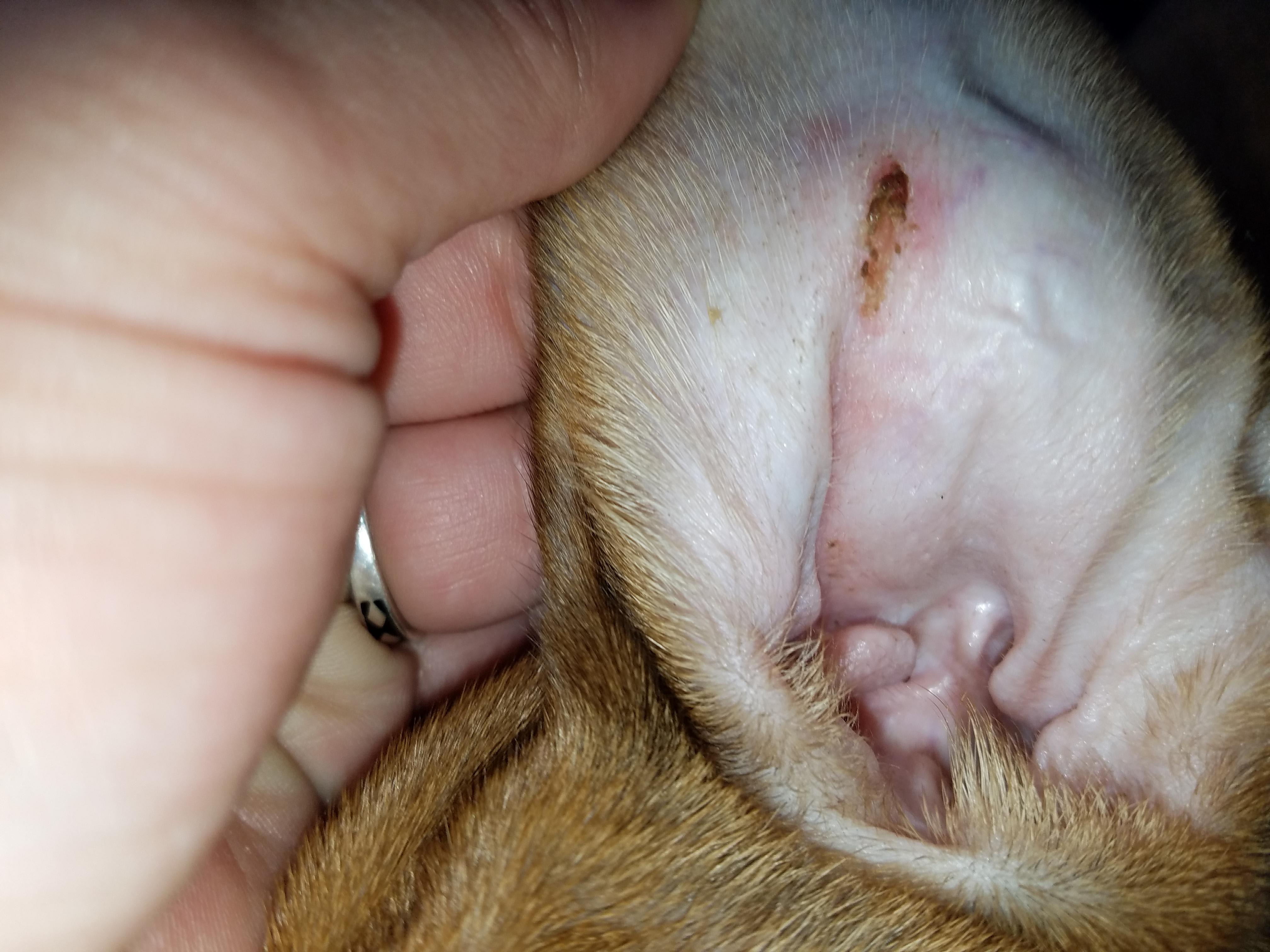 Question details sensitive content