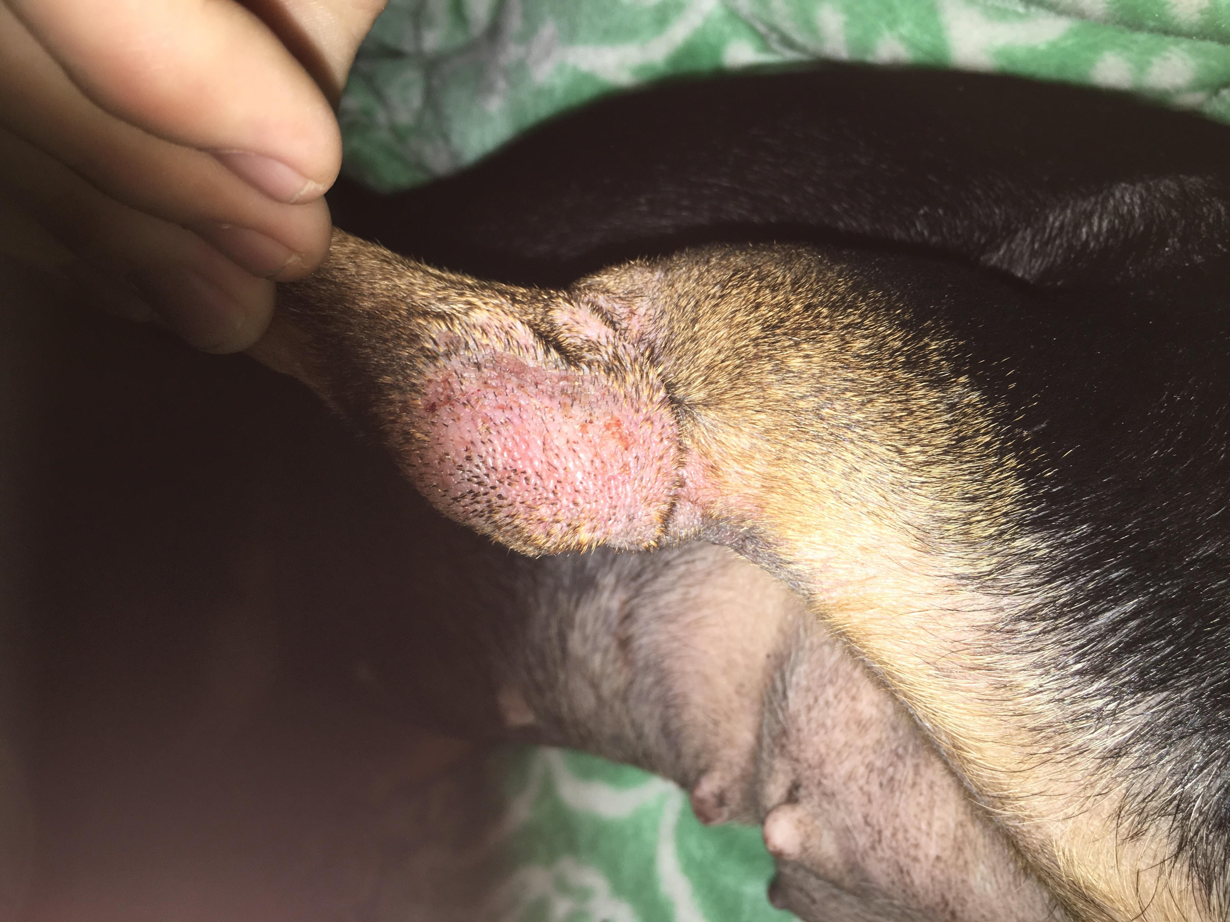 Question details sensitive content