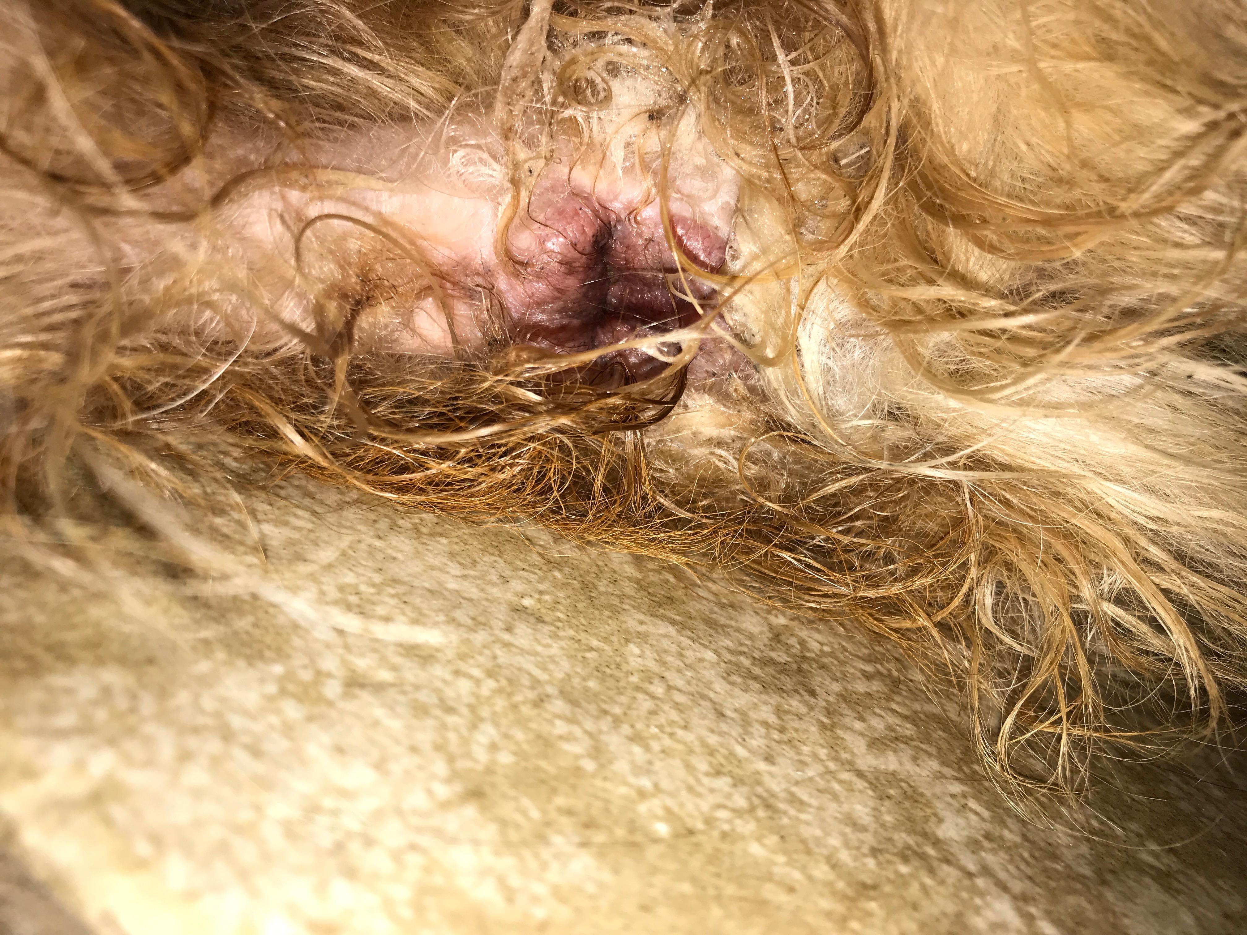 Question details sensitive content