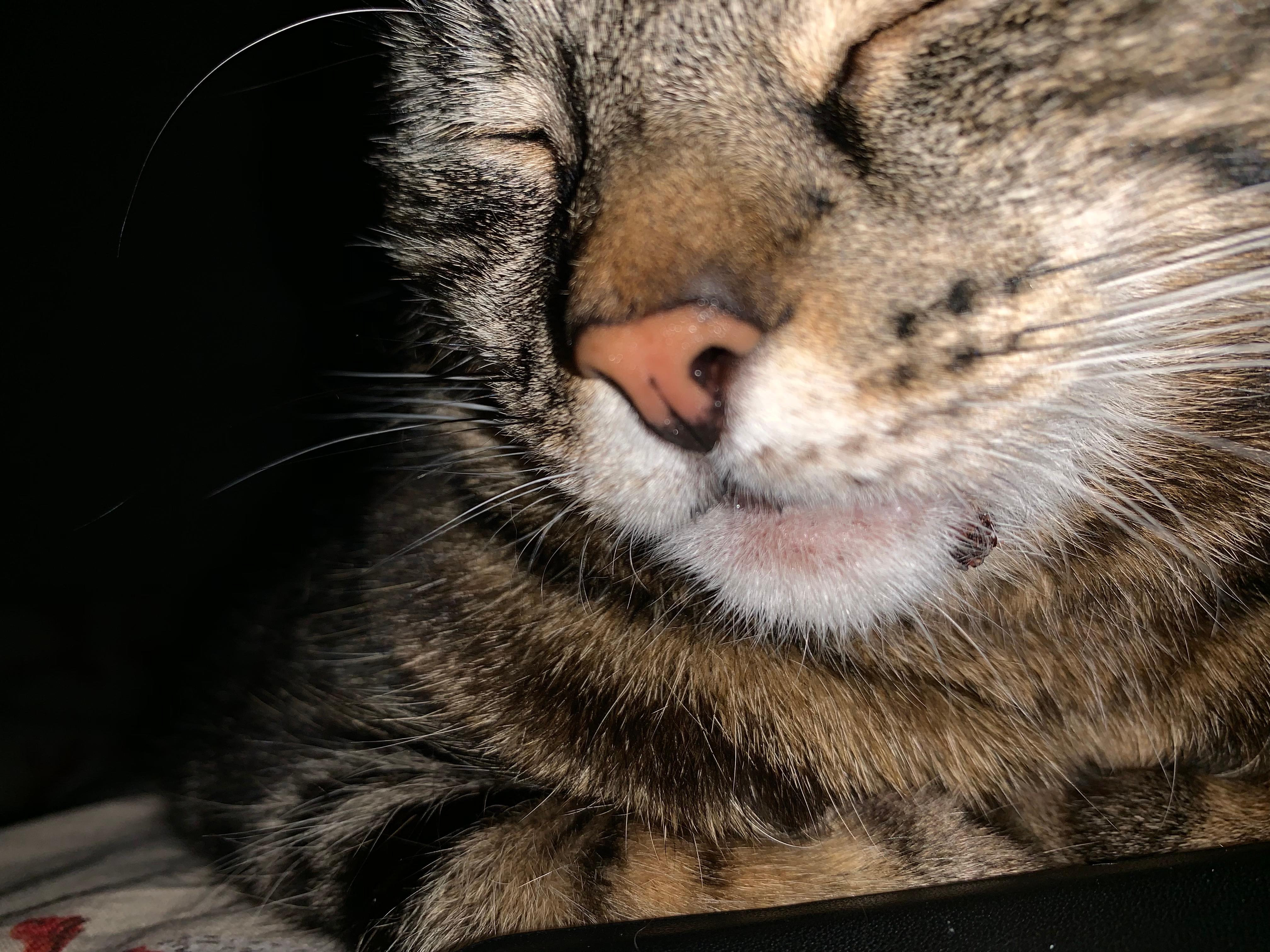 Question details sensitive content