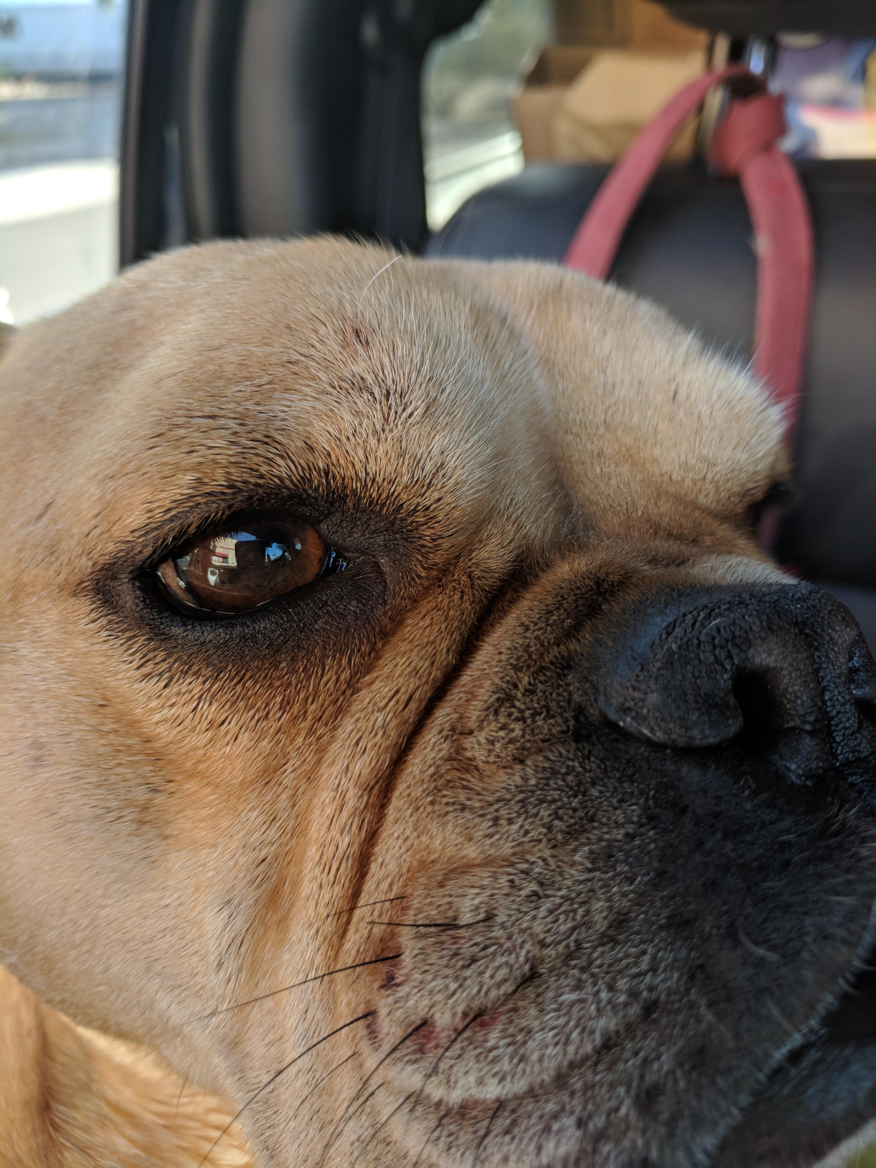 Question details sensitive content