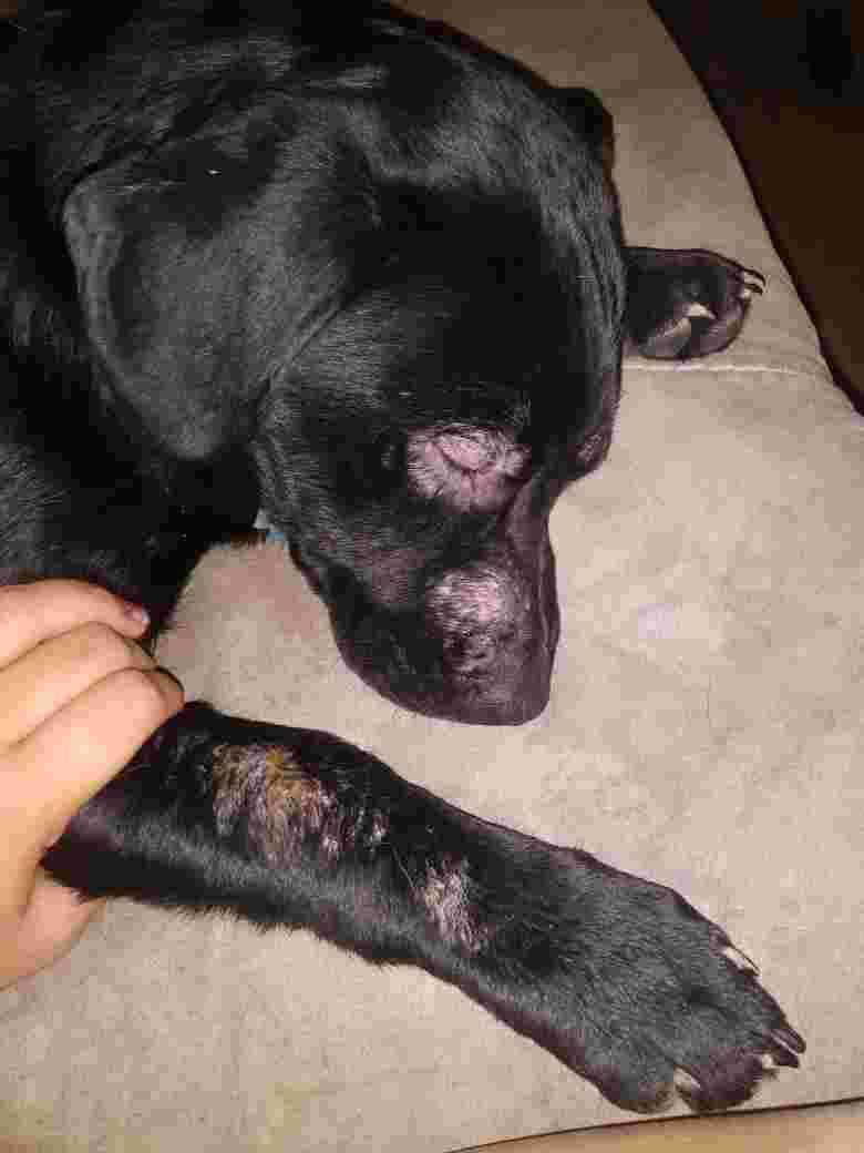 Question details sensitive content