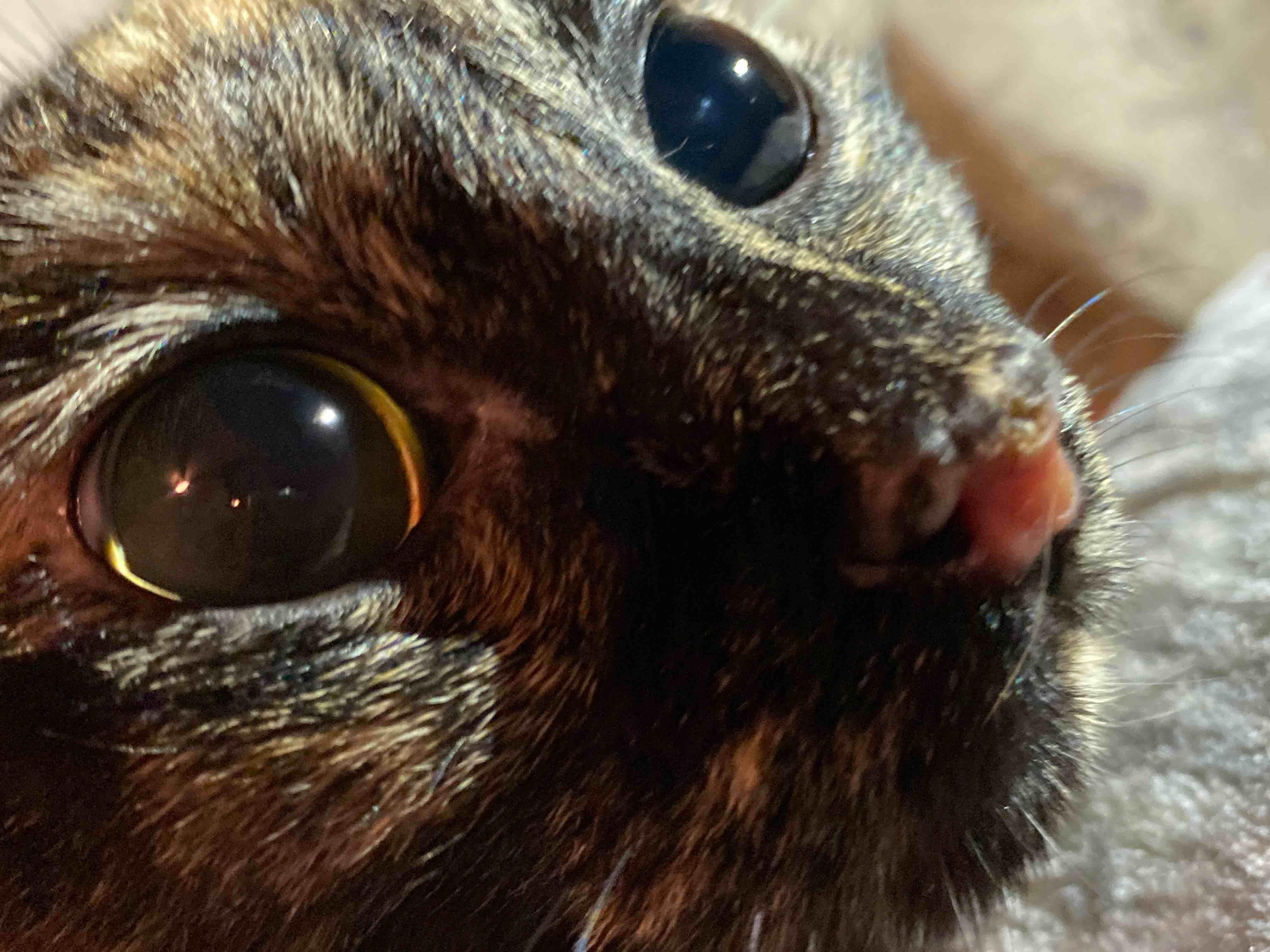 Question details sensitive content