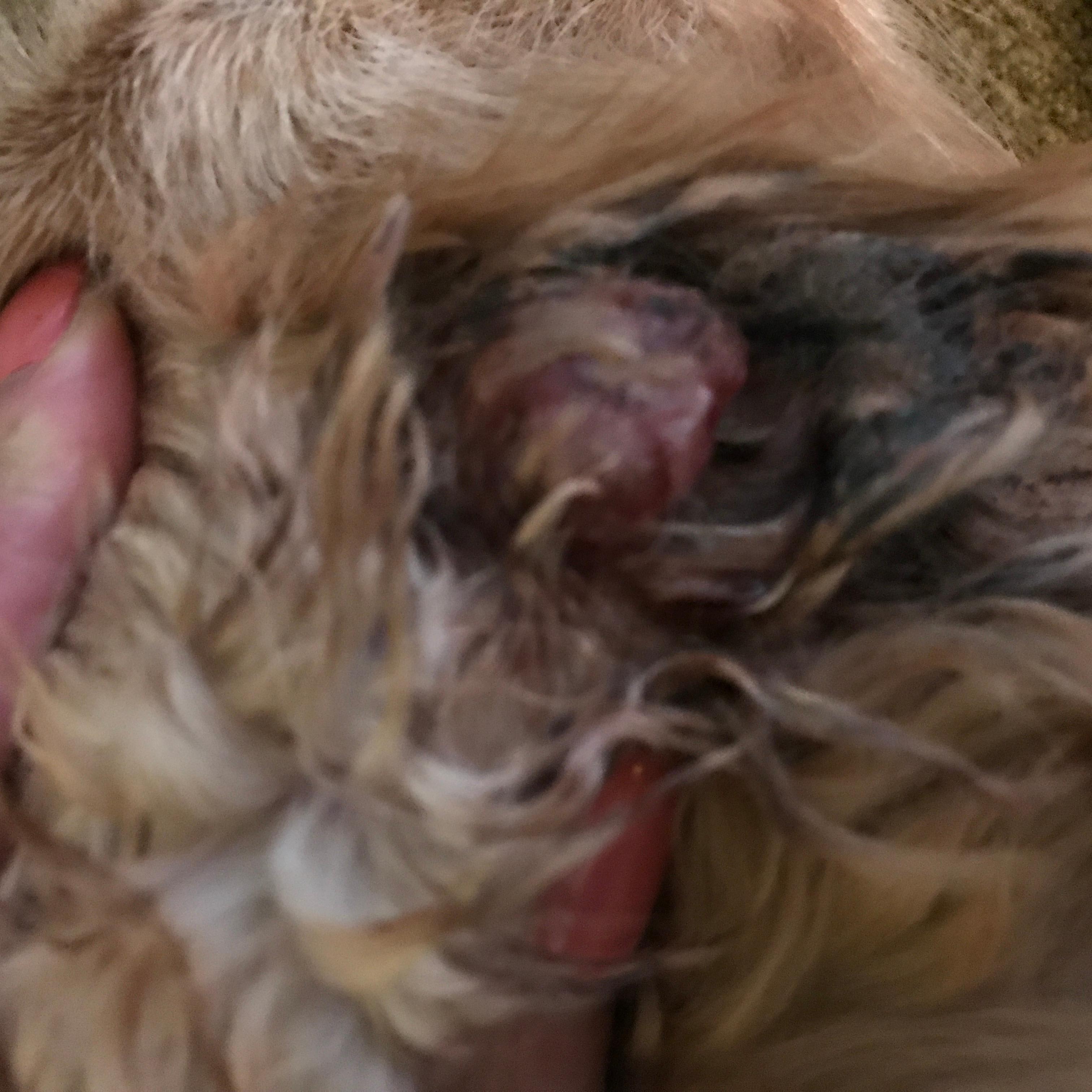 Question details sensitive content