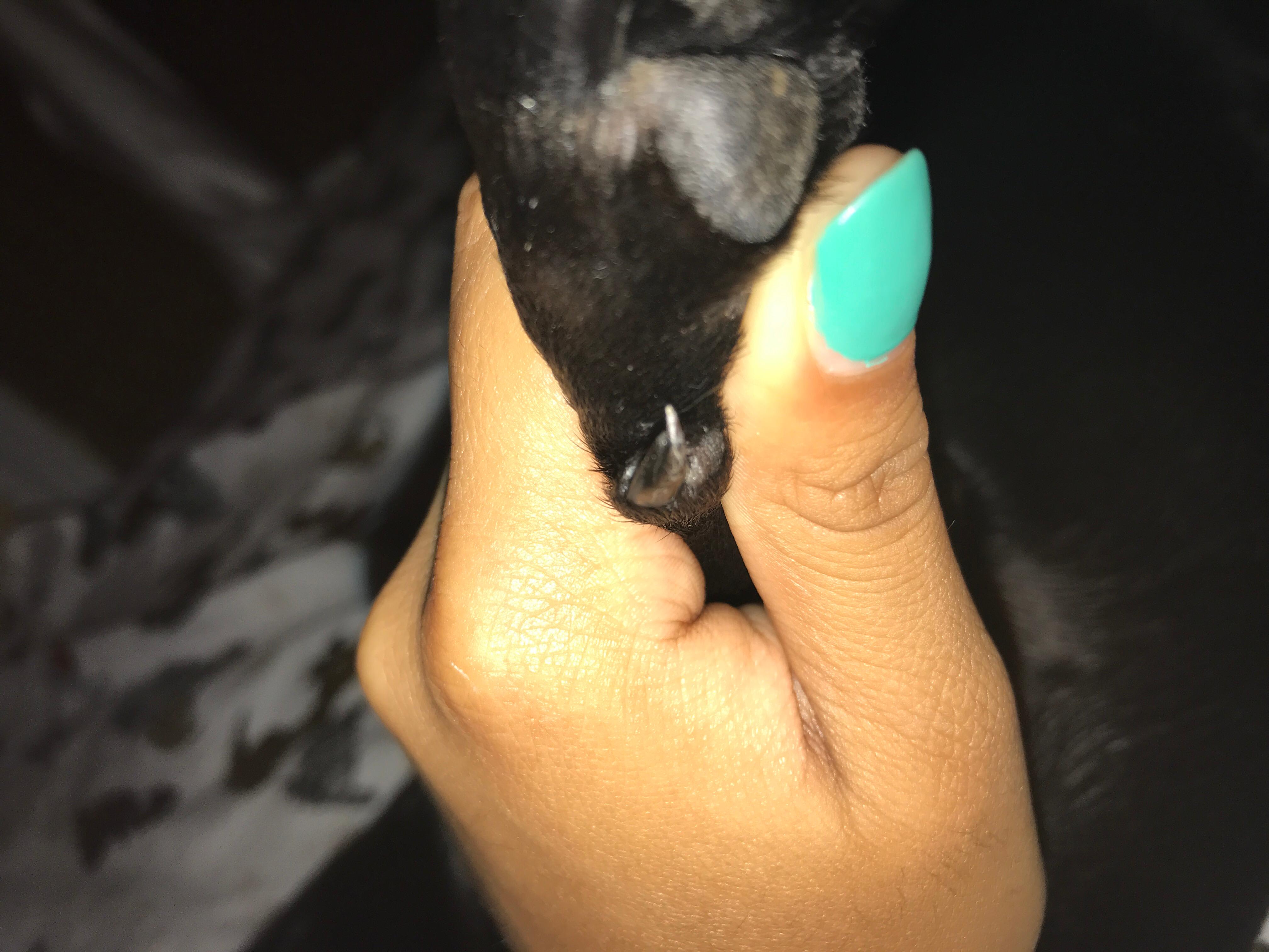 Question details sensitive content