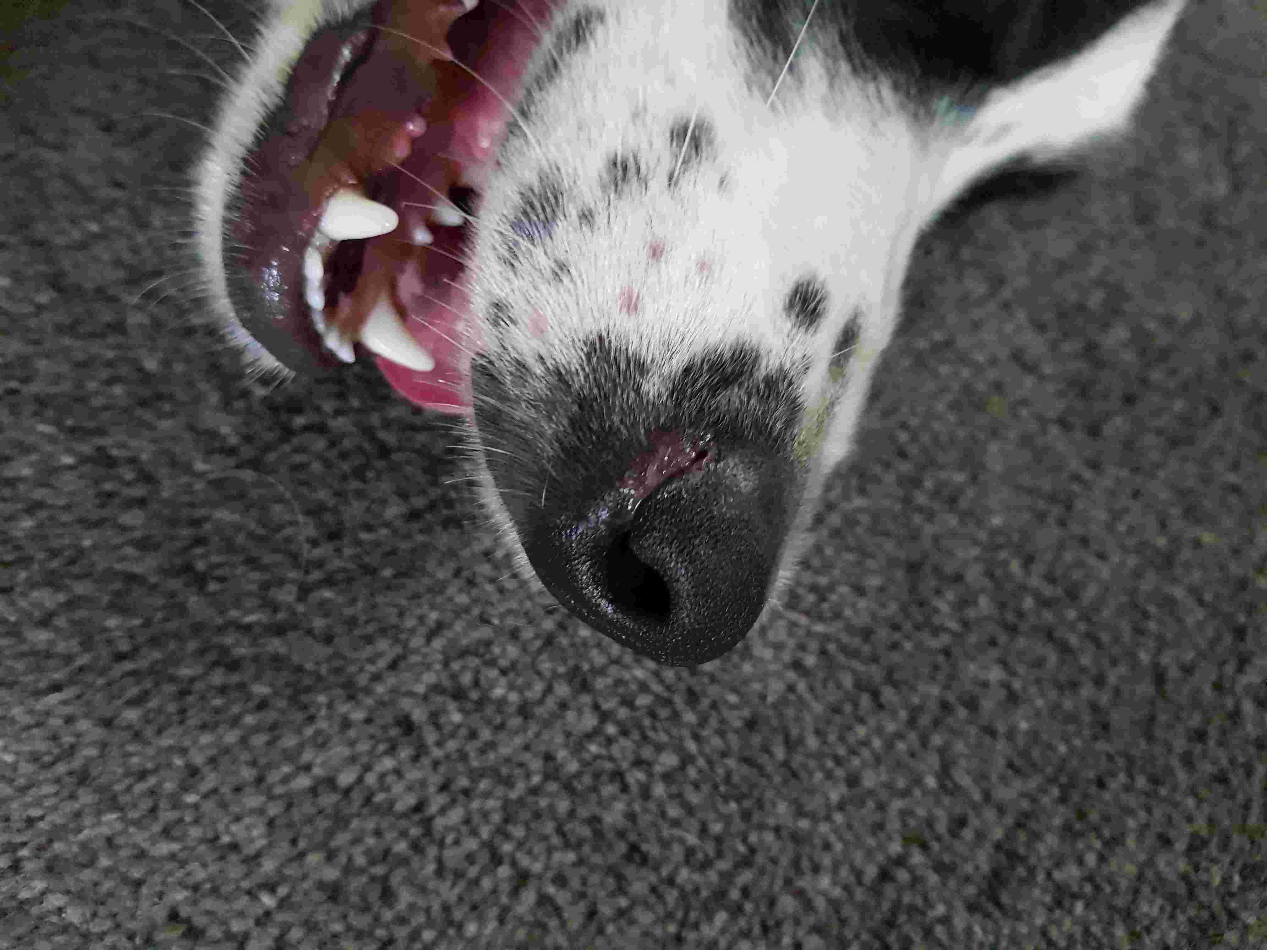 Question details sensitive content