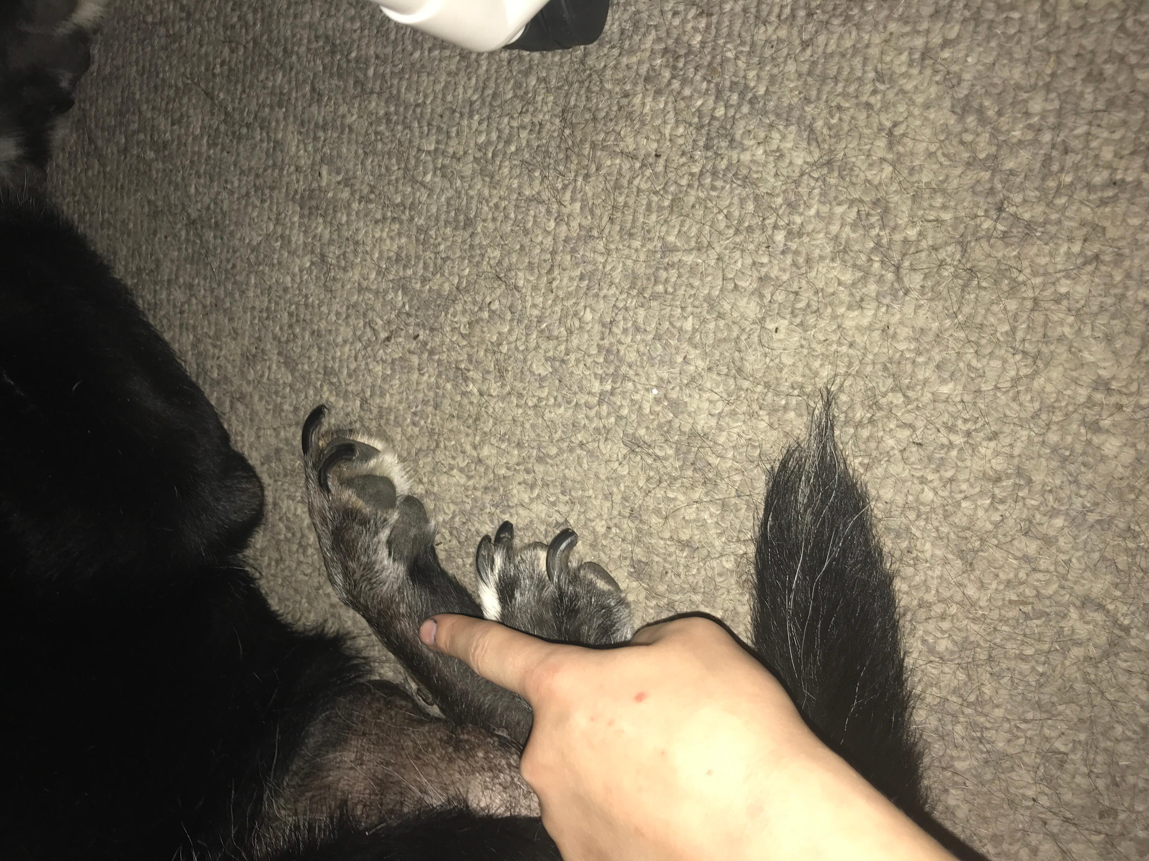 Question details sensitive content