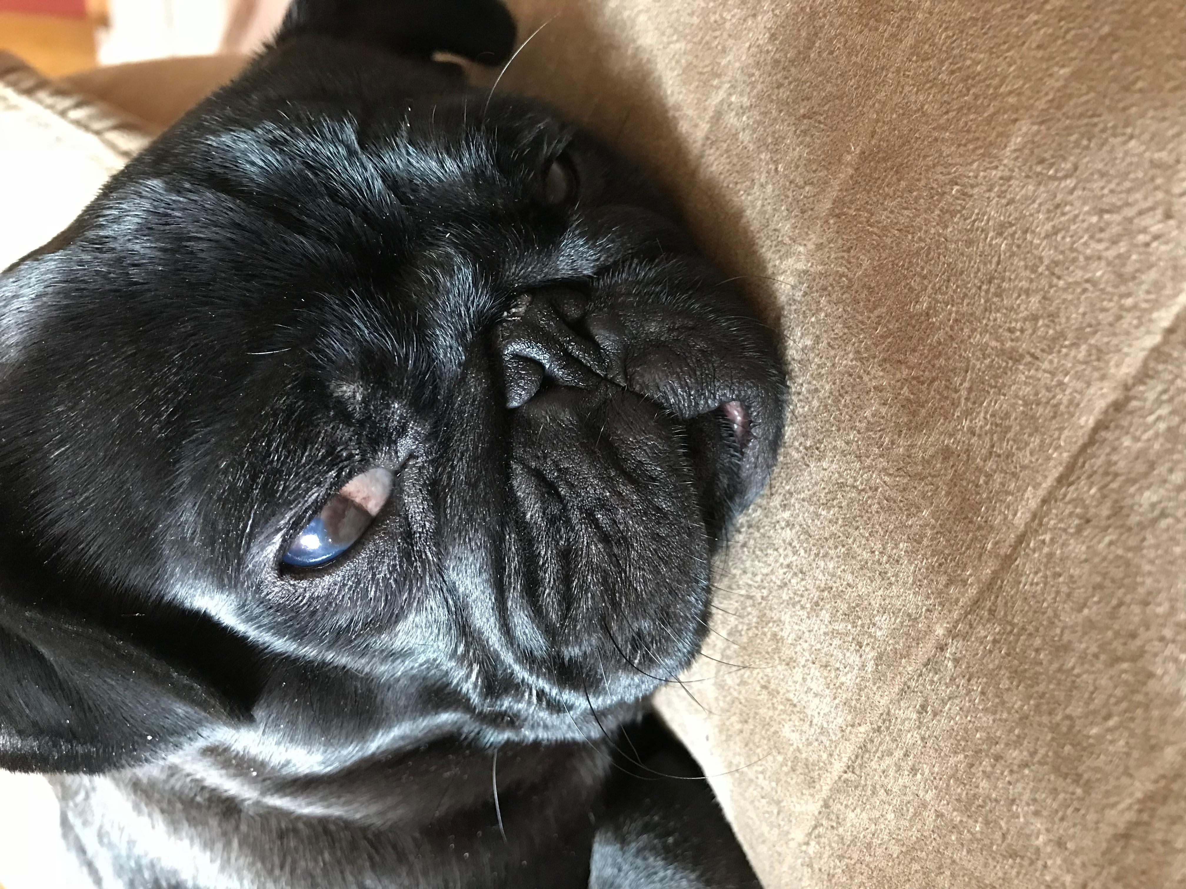 Question details sensitive content