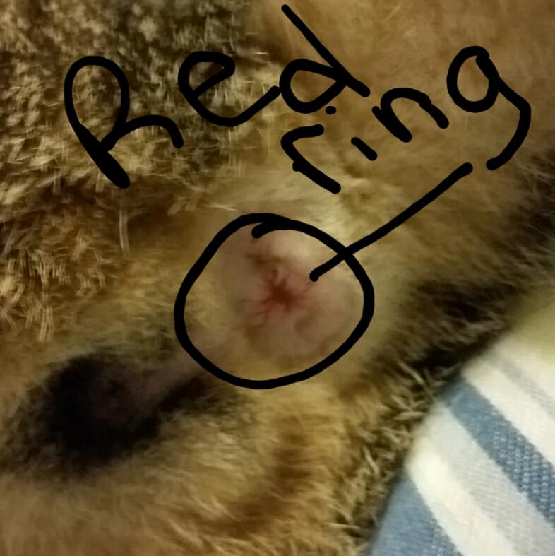 Question details sensitive content