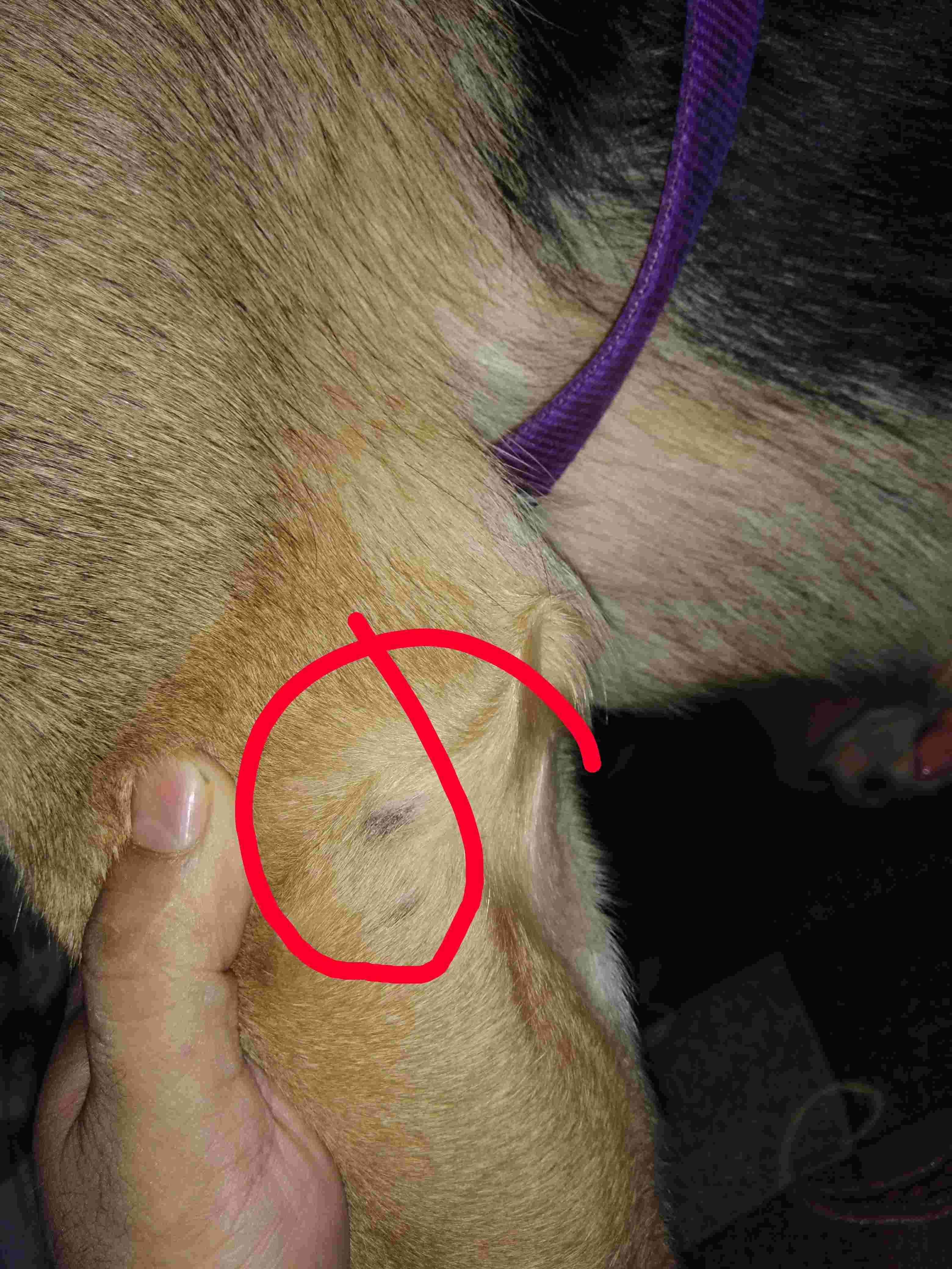 Question details sensitive content