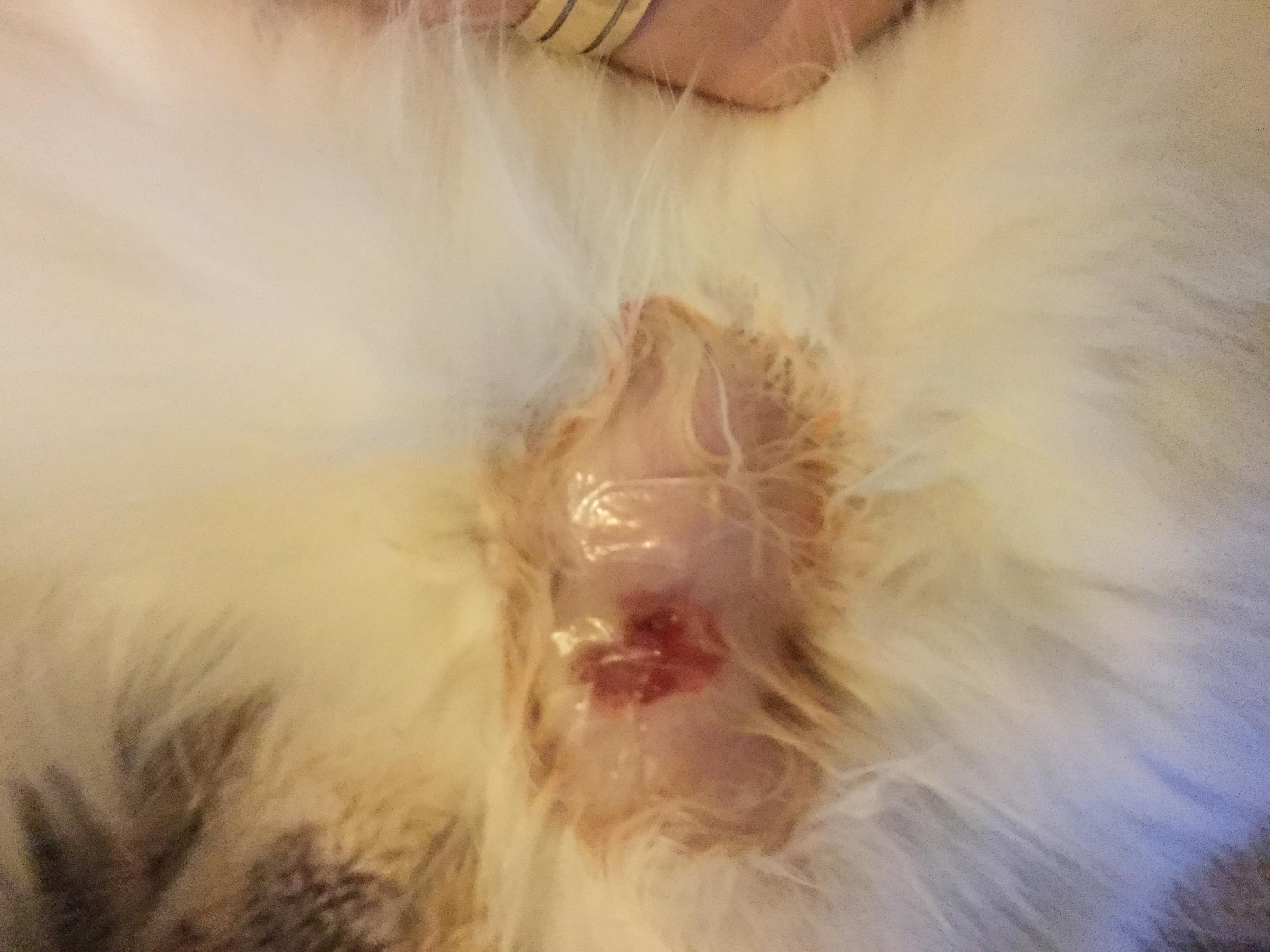 Question details sensitive content