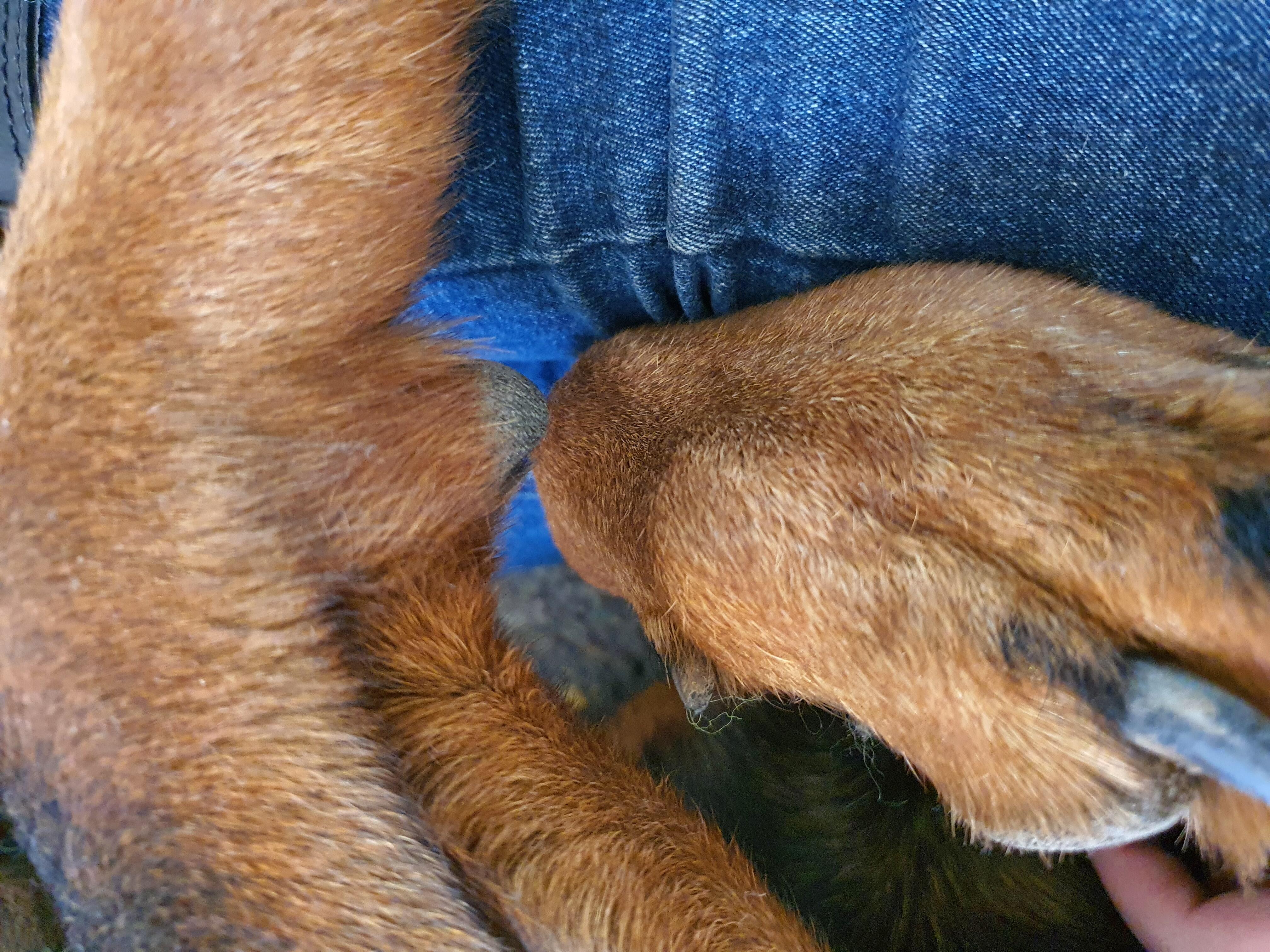 Question details sensitive content