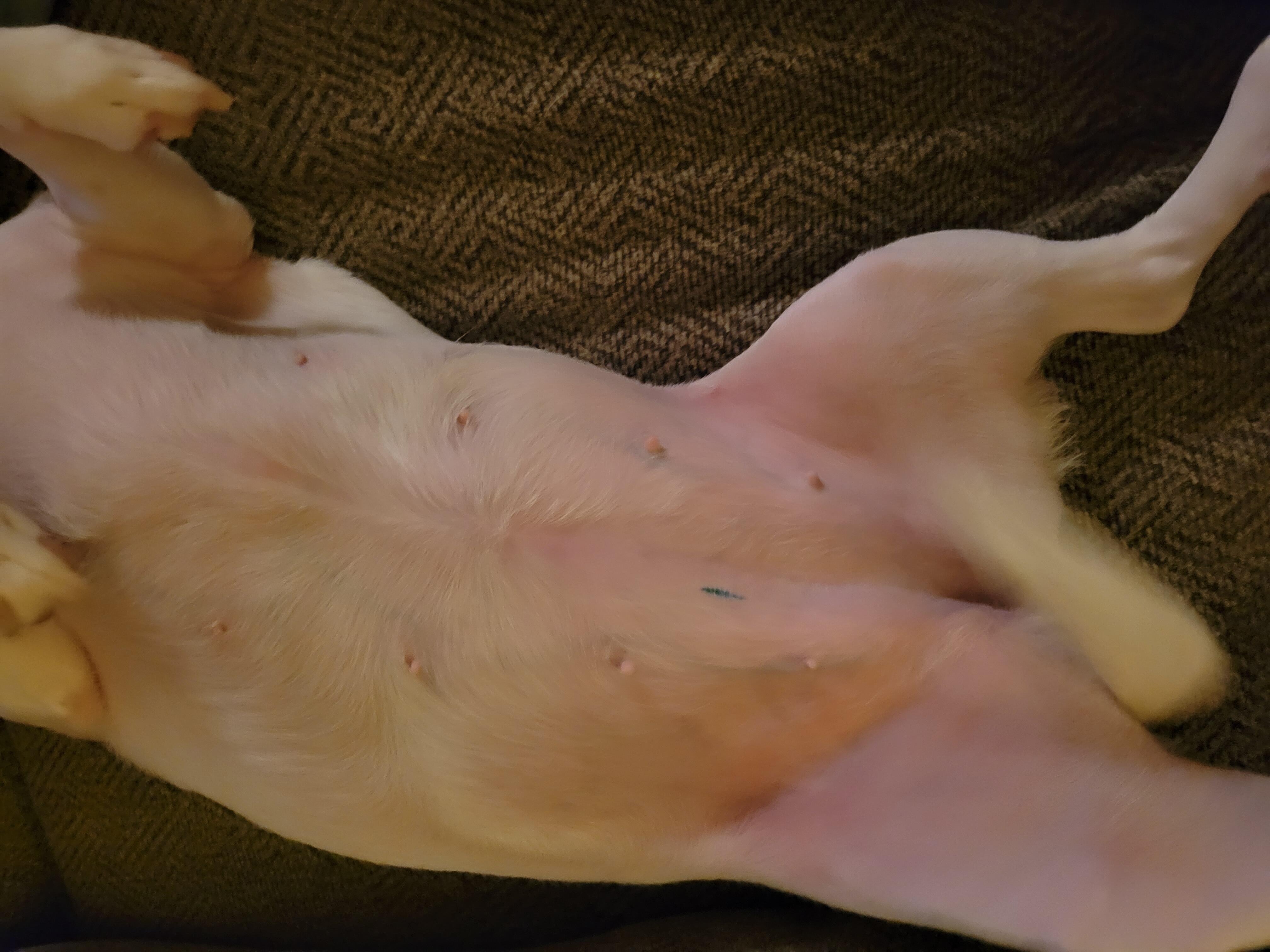 Question details sensitive content