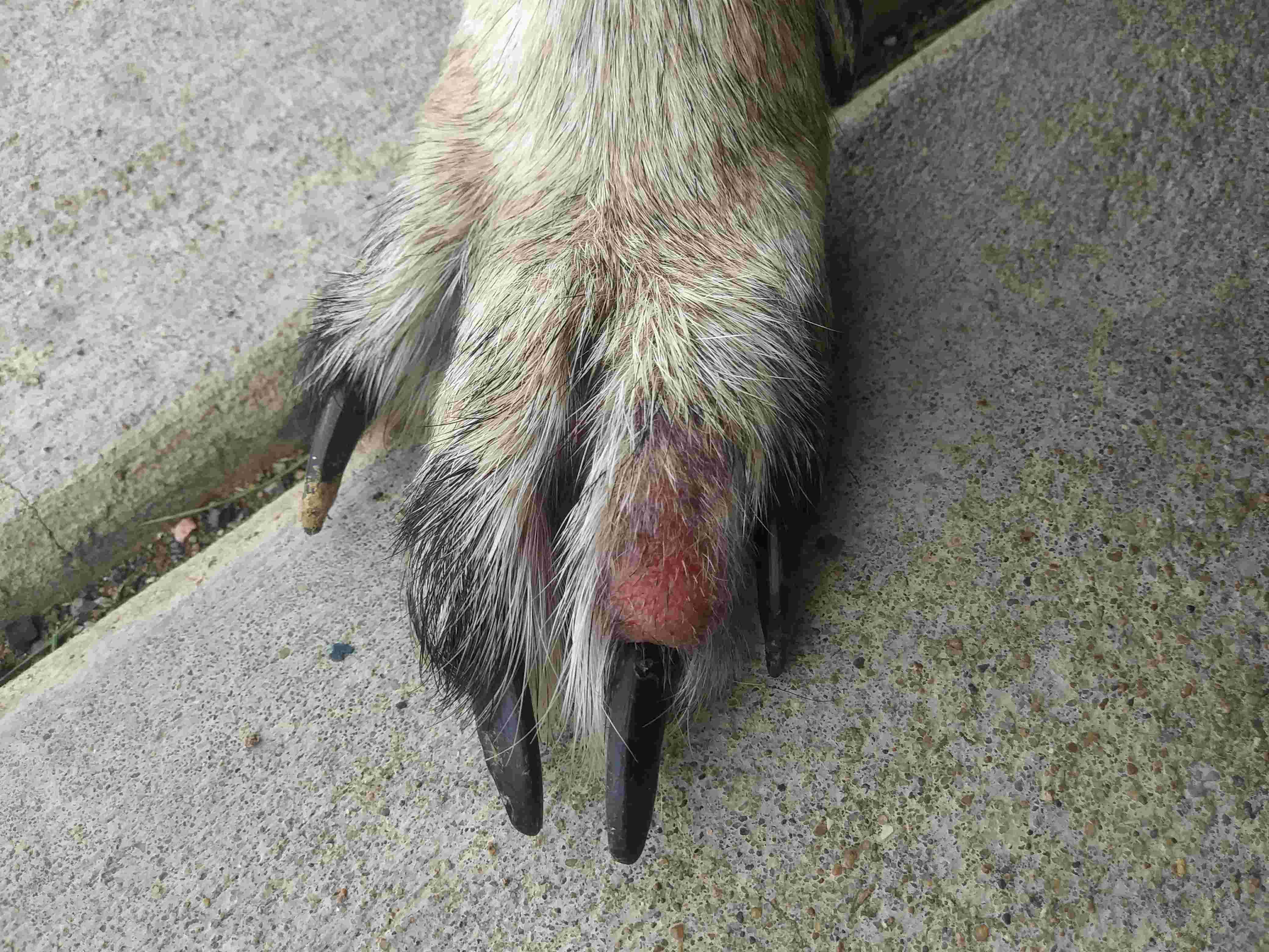 Question details sensitive content