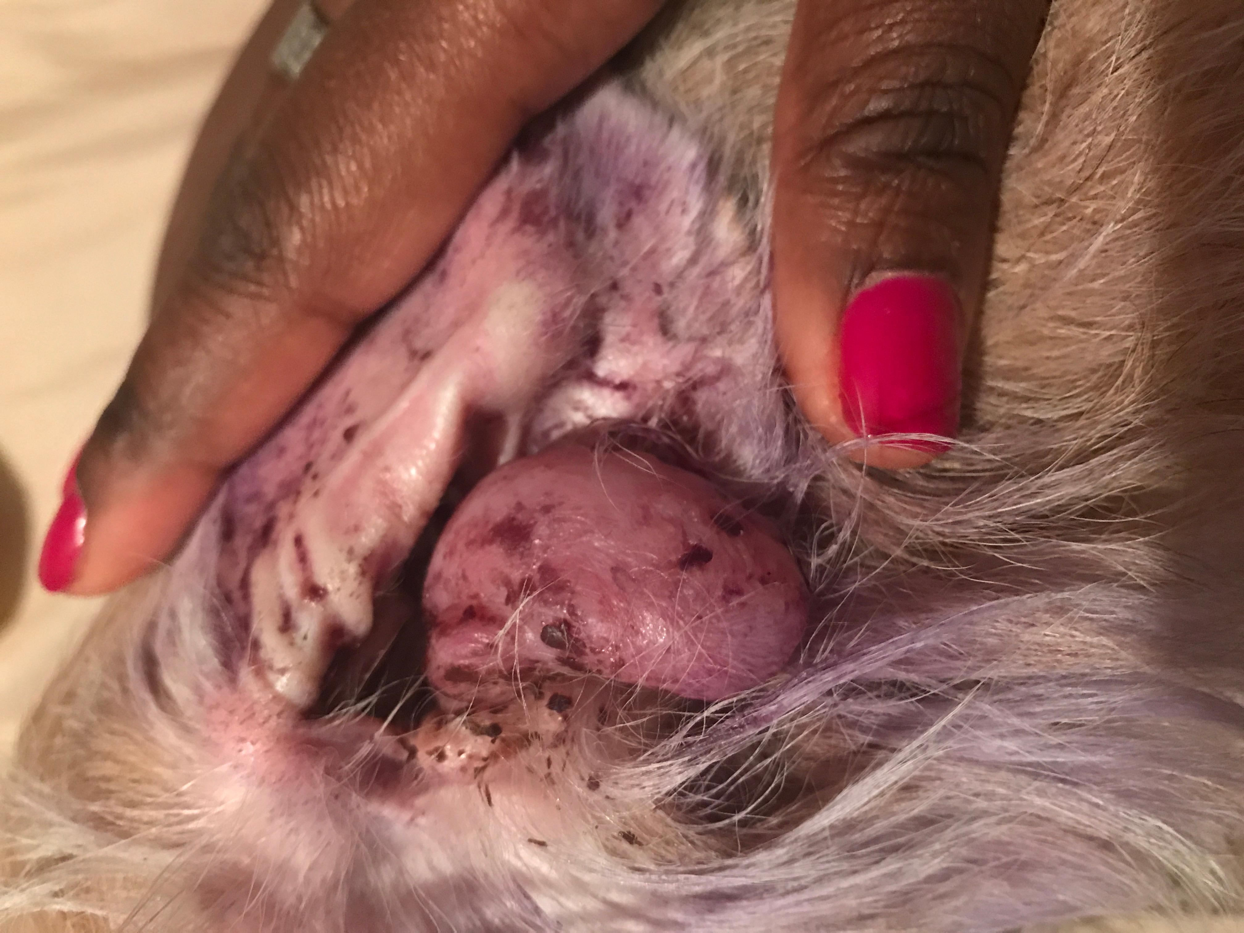 Question details sensitive content