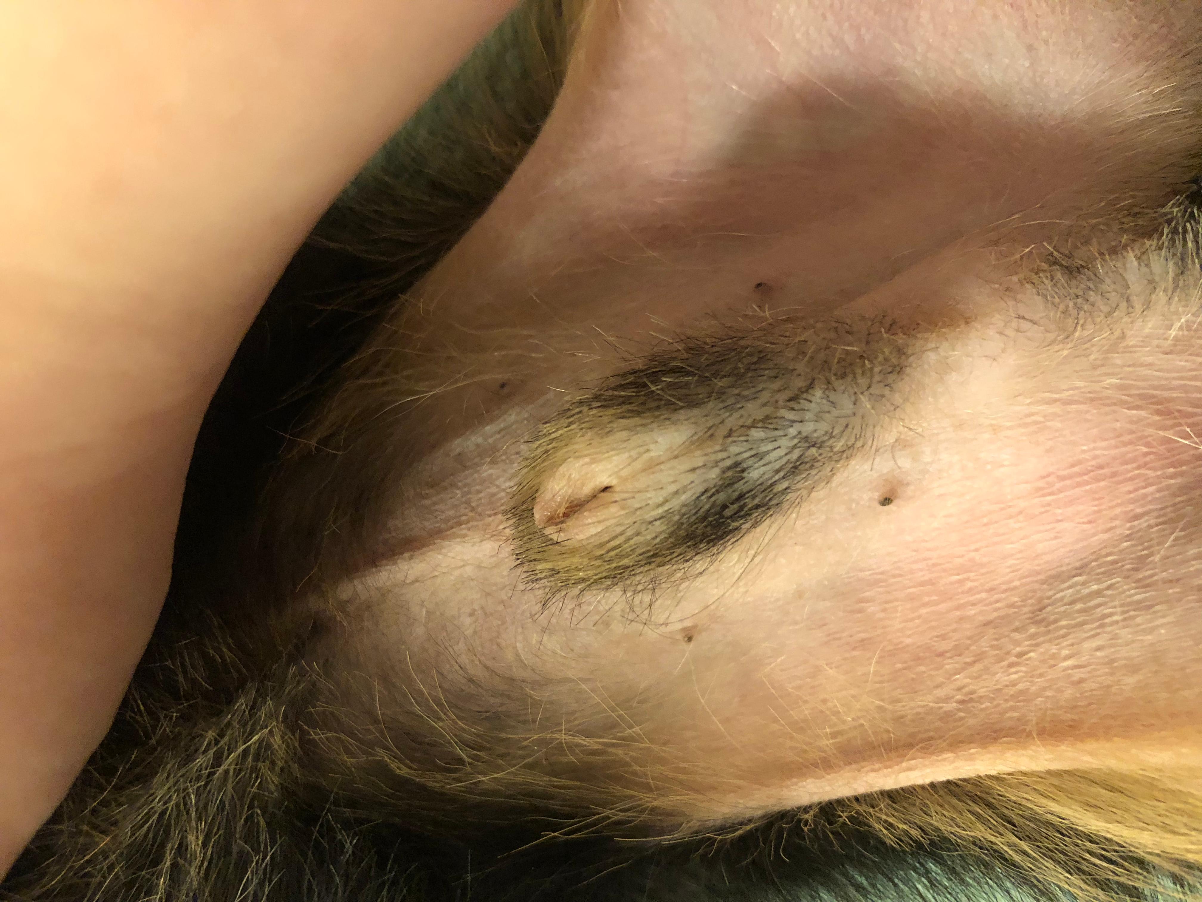 Question details sensitive content