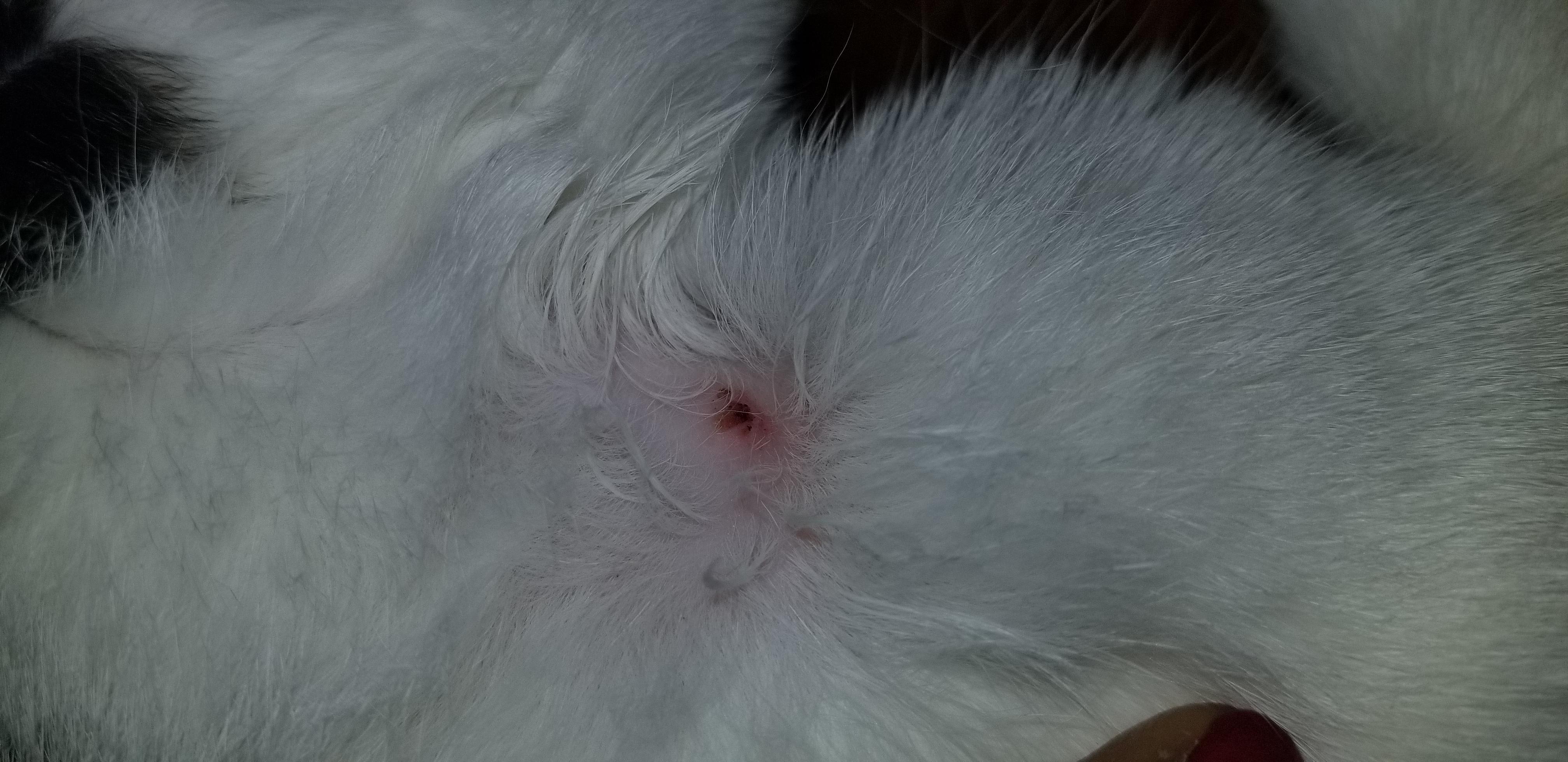 Question details sensitive content