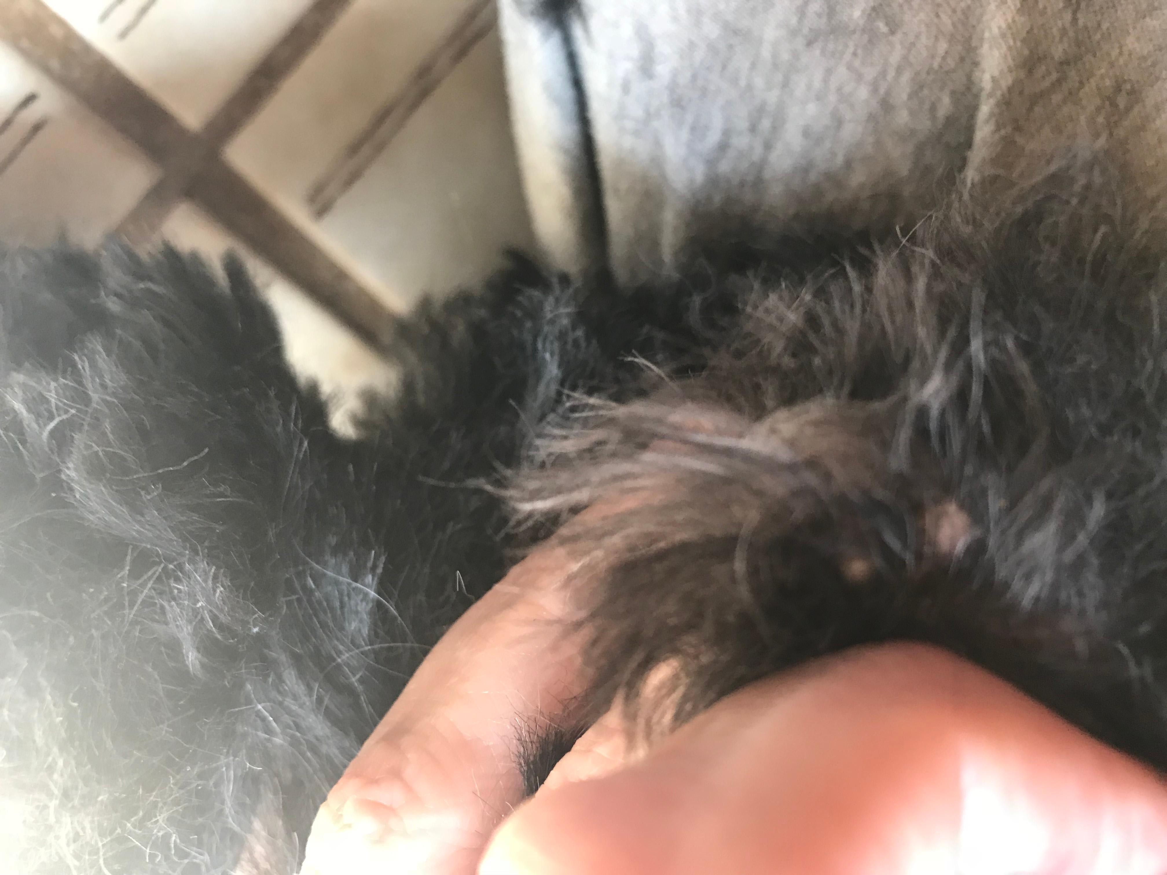 Question details sensitive content