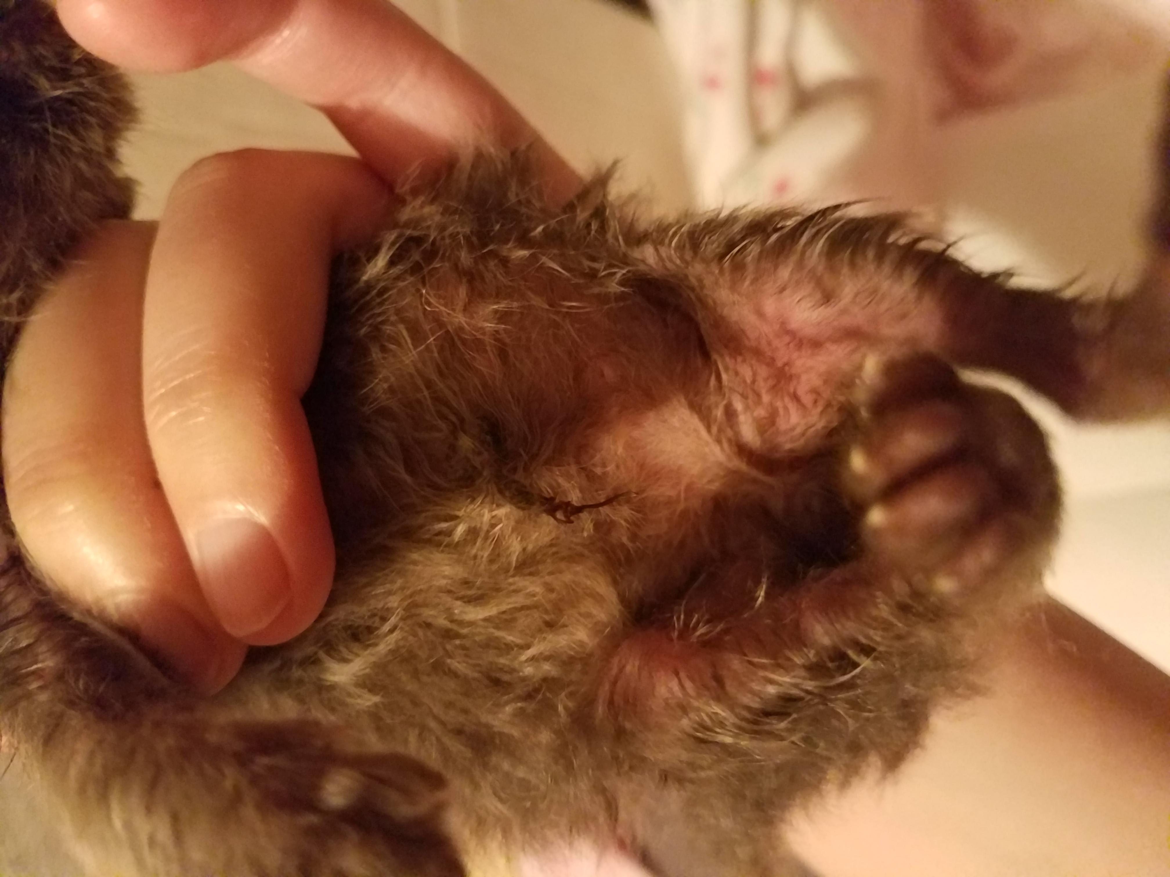 Question details sensitive content