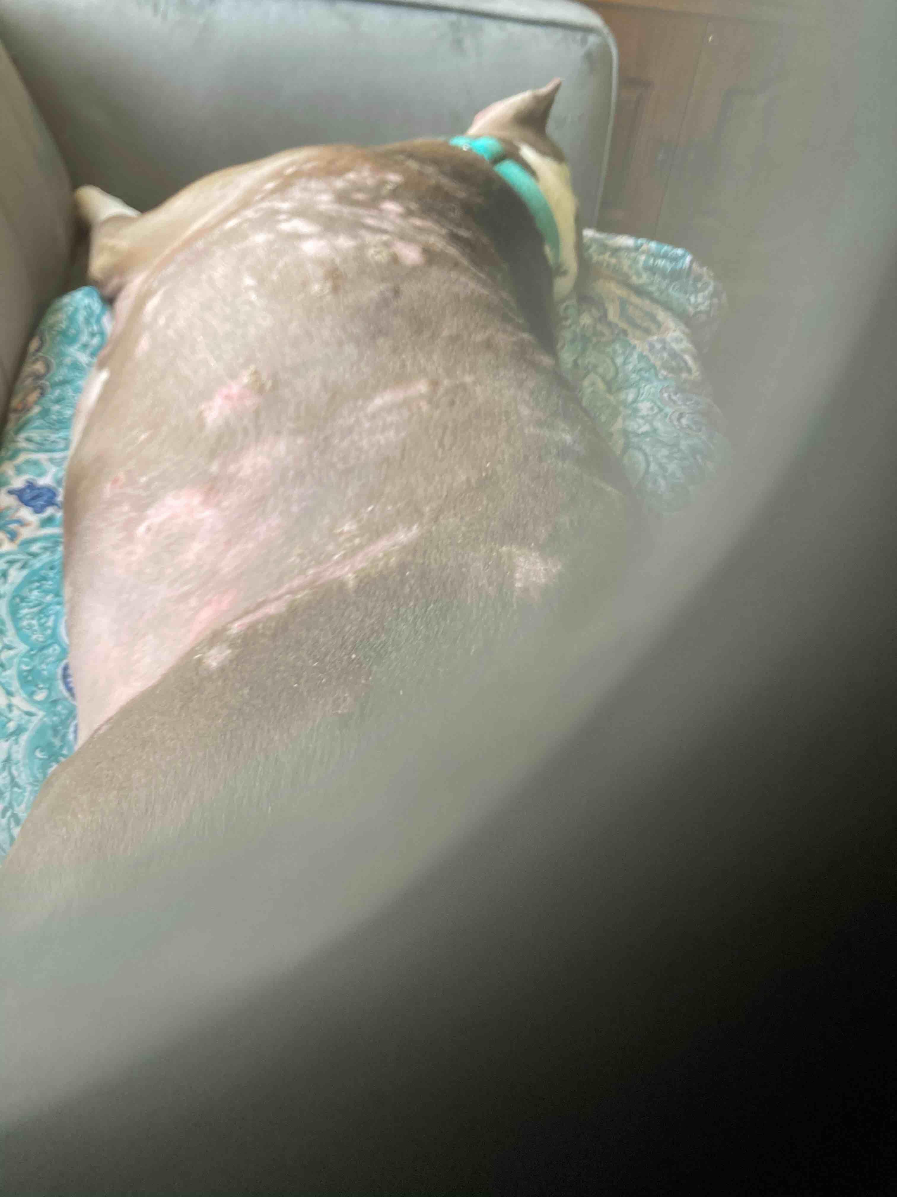 Question details sensitive content