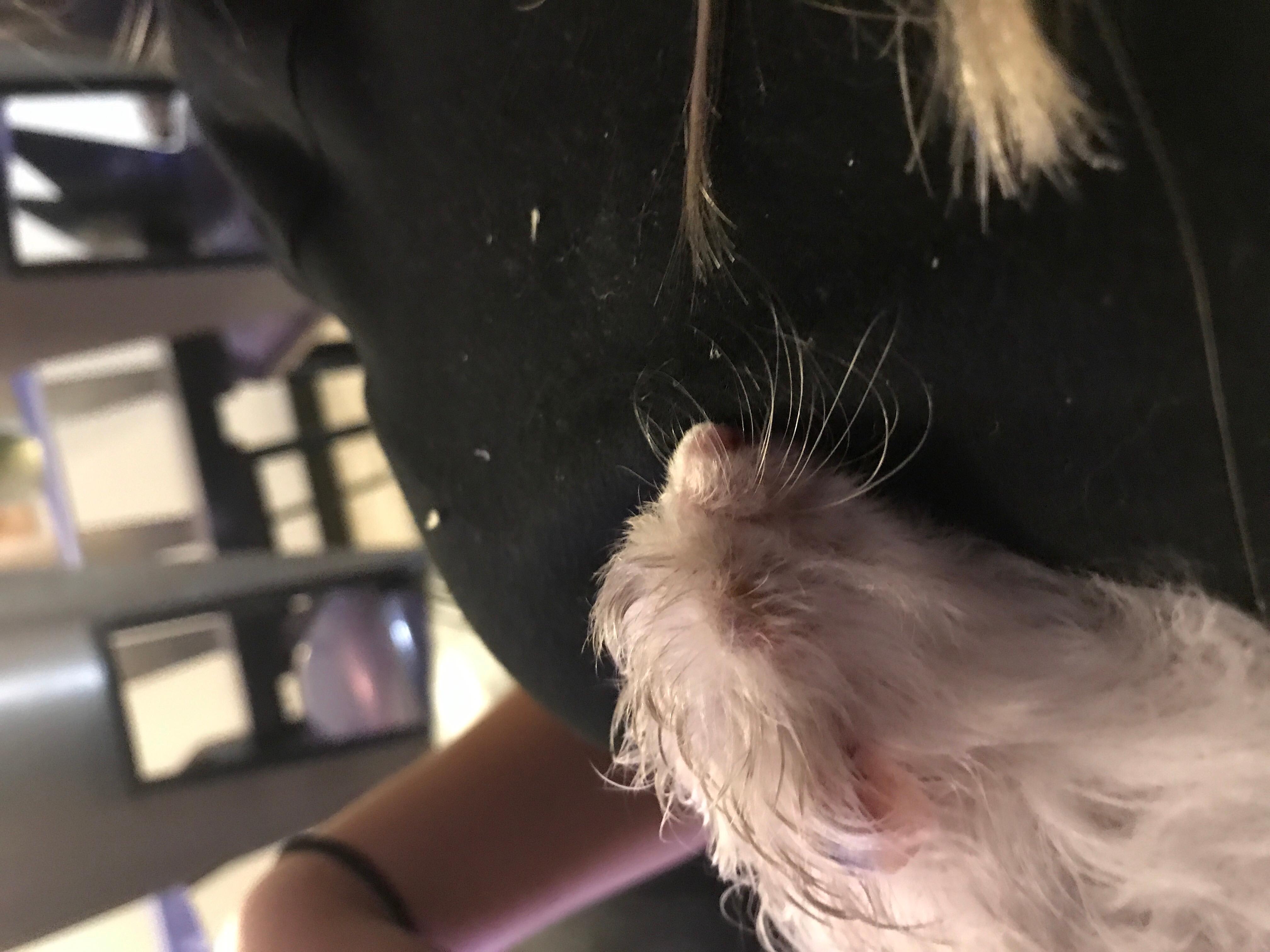 Question details sensitive content