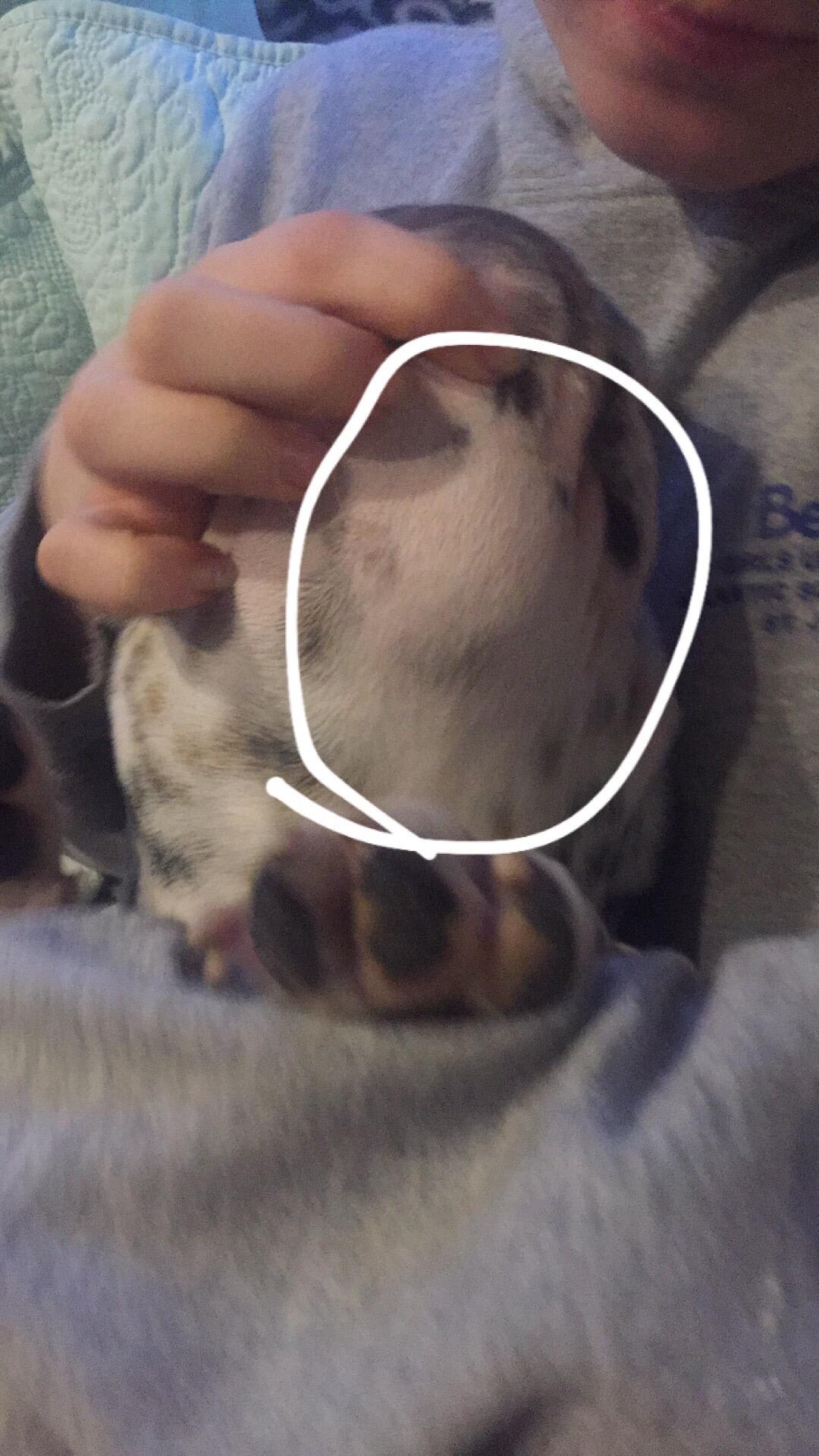 Question details sensitive content