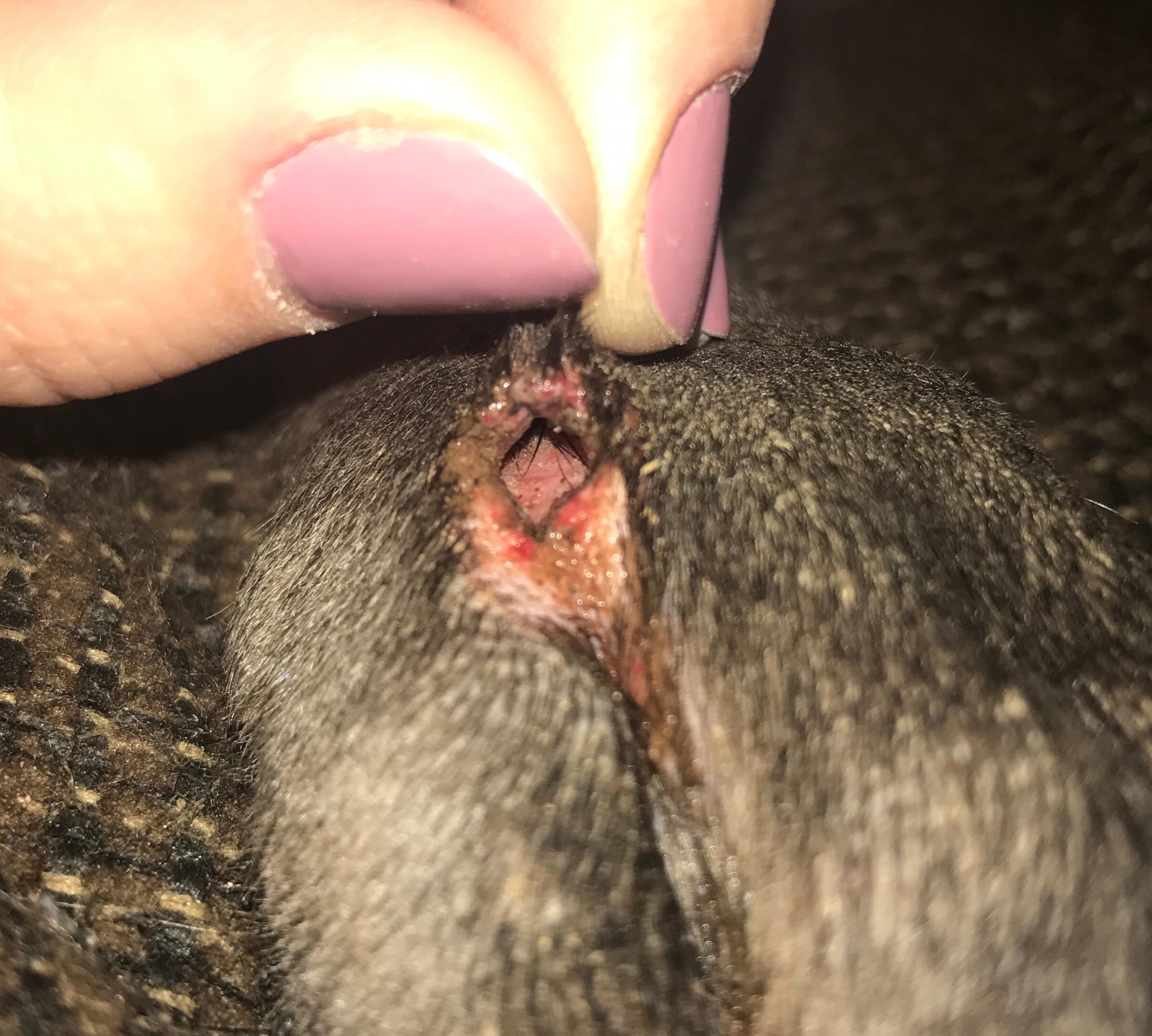 Question details sensitive content