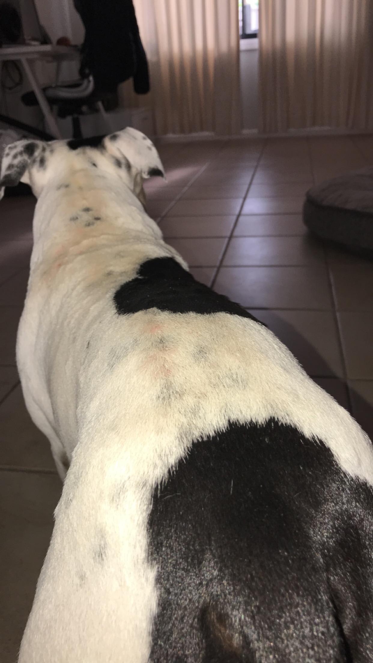 Question details sensitive content