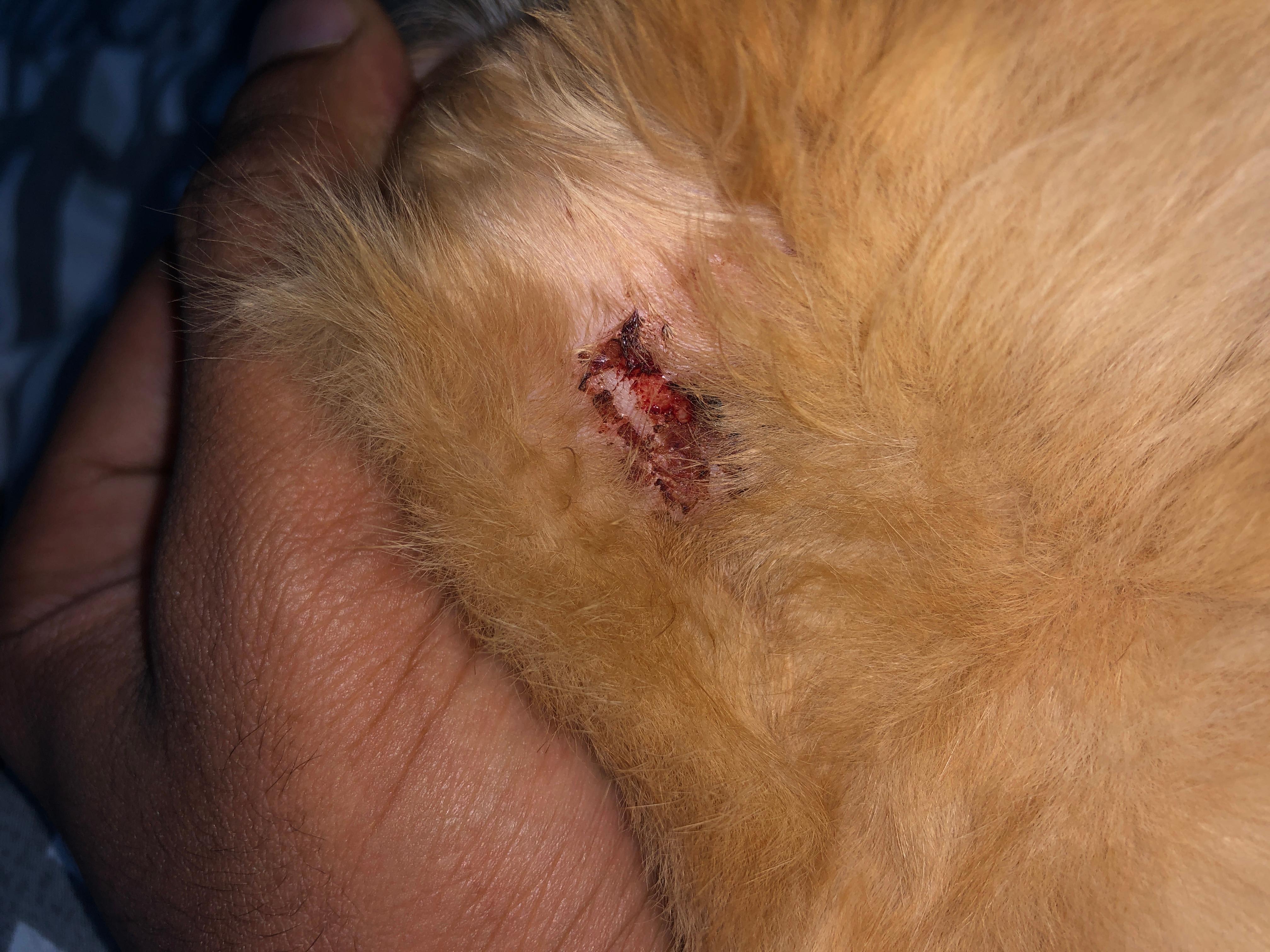 Question details sensitive content