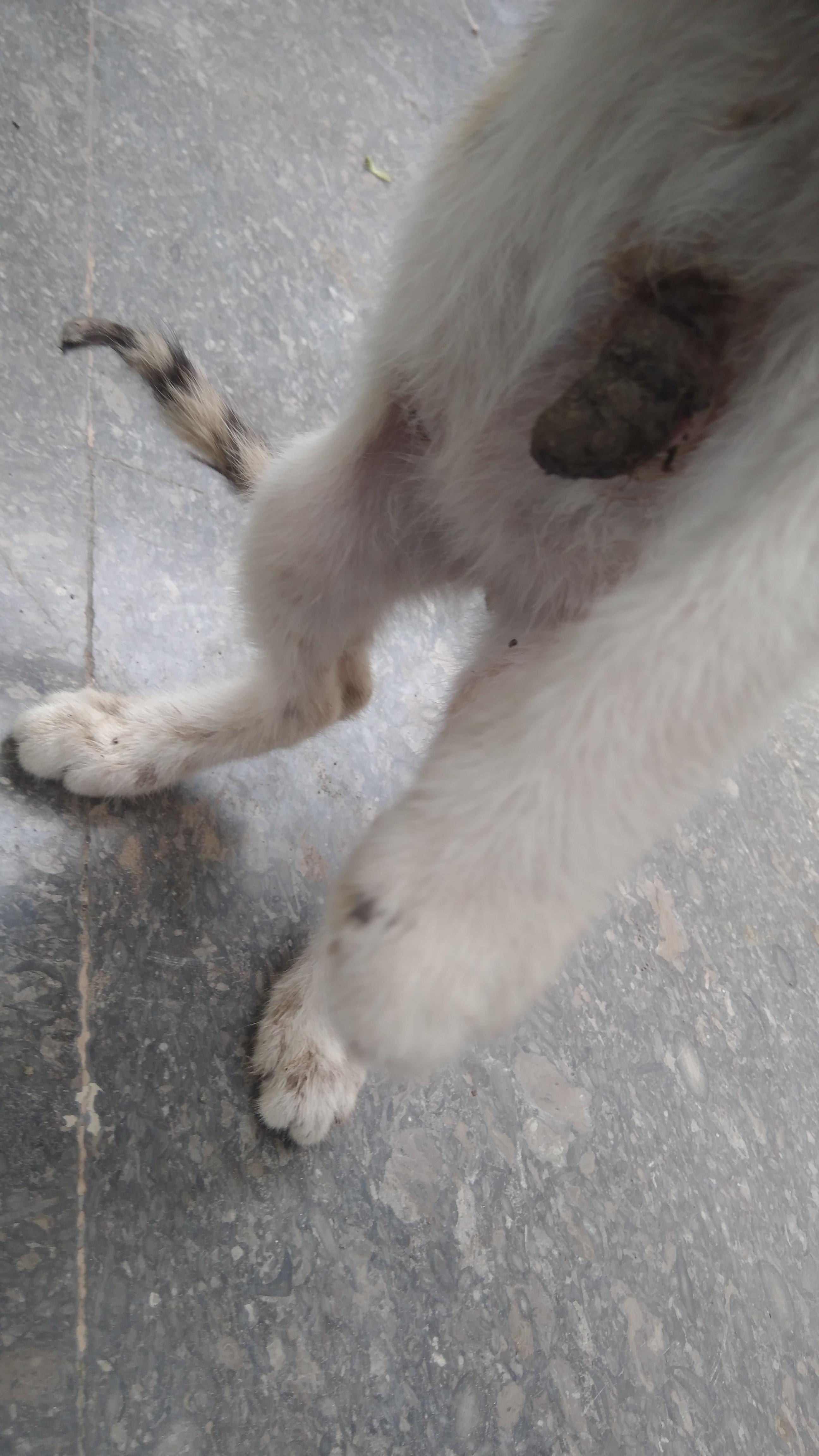 Question details sensitive content