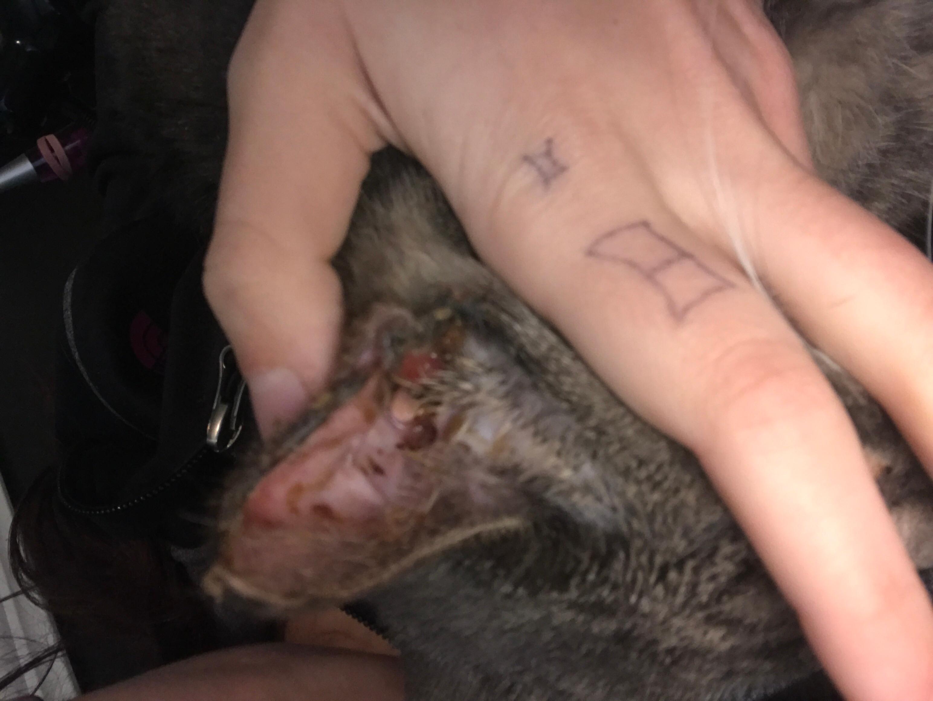 Question details sensitive content