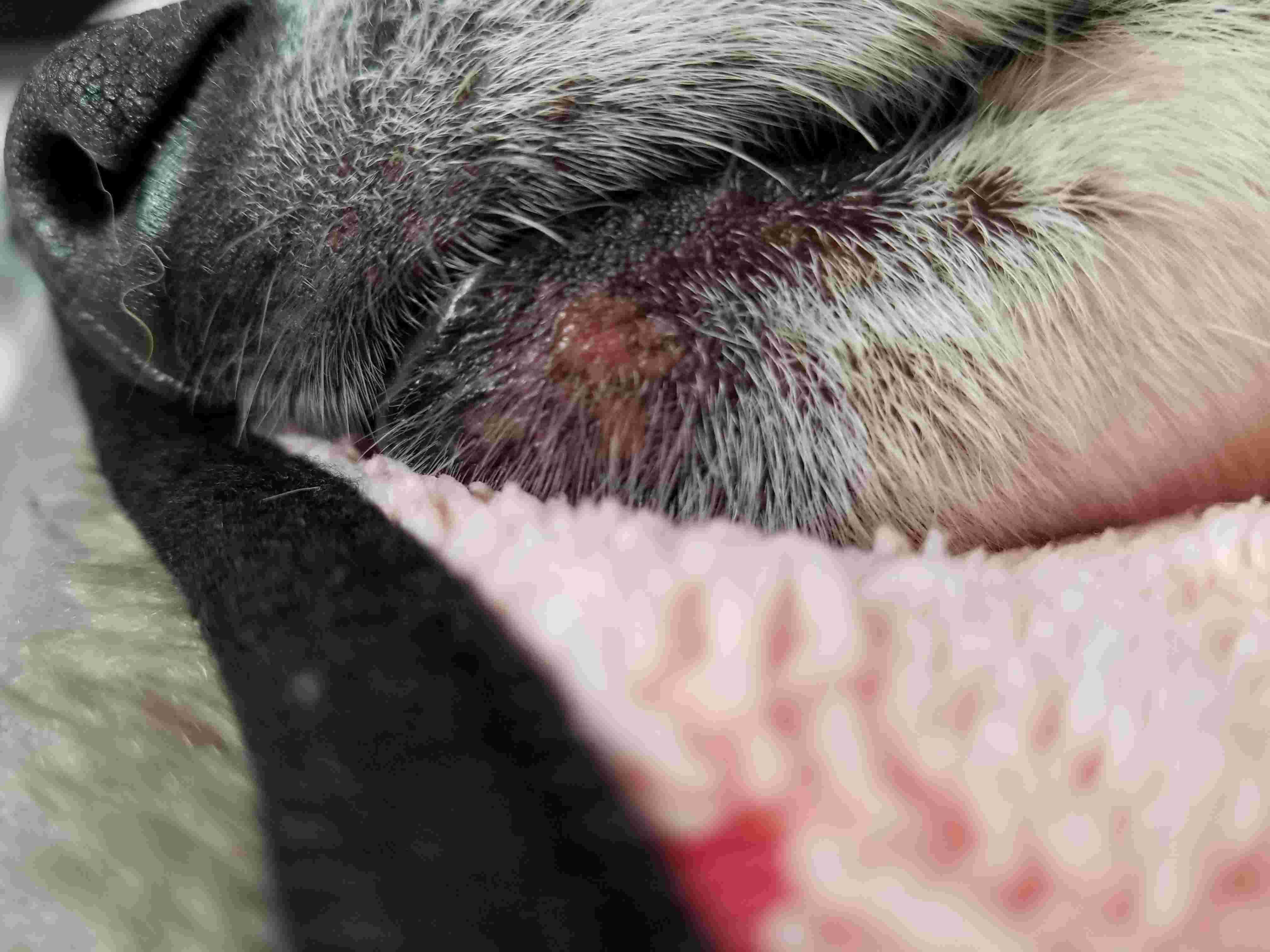 Question details sensitive content