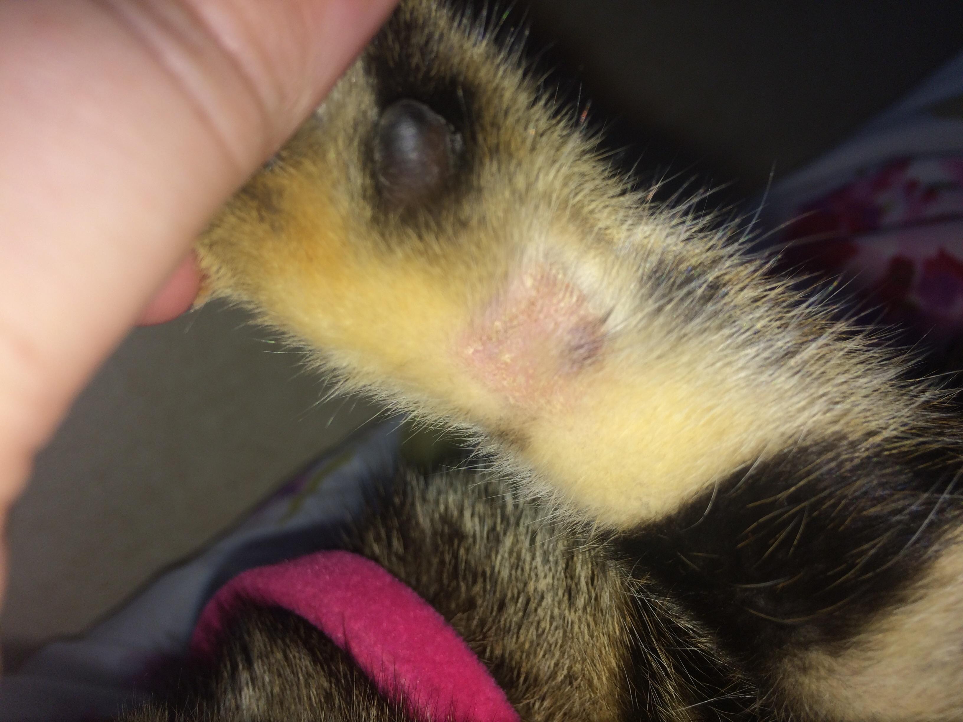 Question details sensitive content