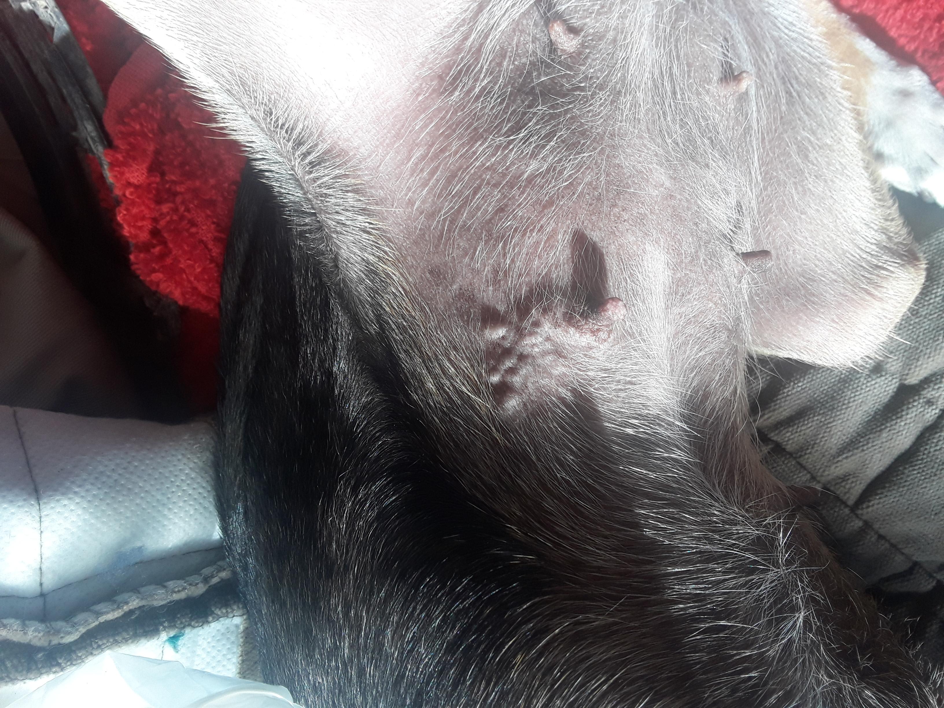 Question details sensitive content