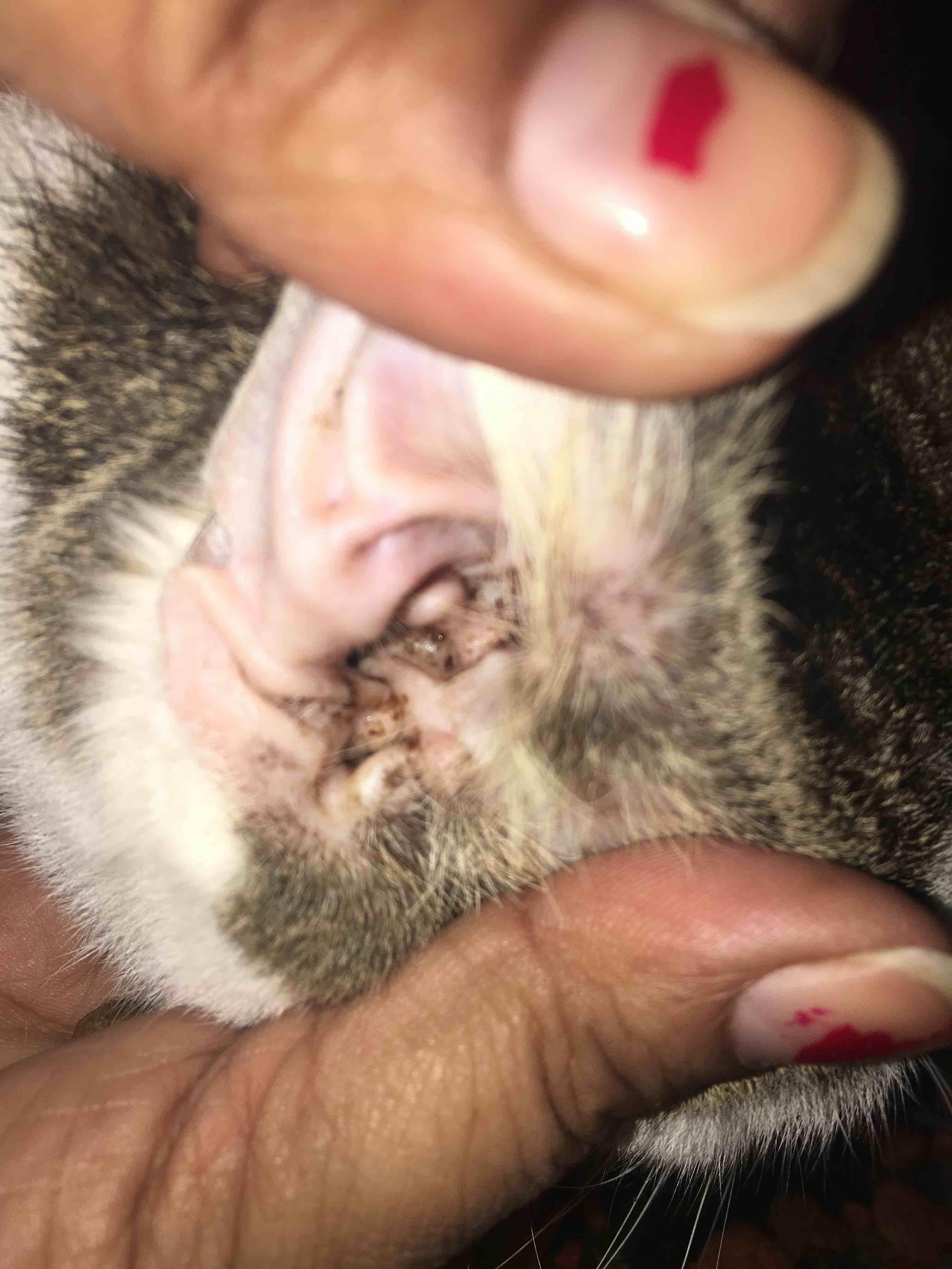 Question details sensitive content