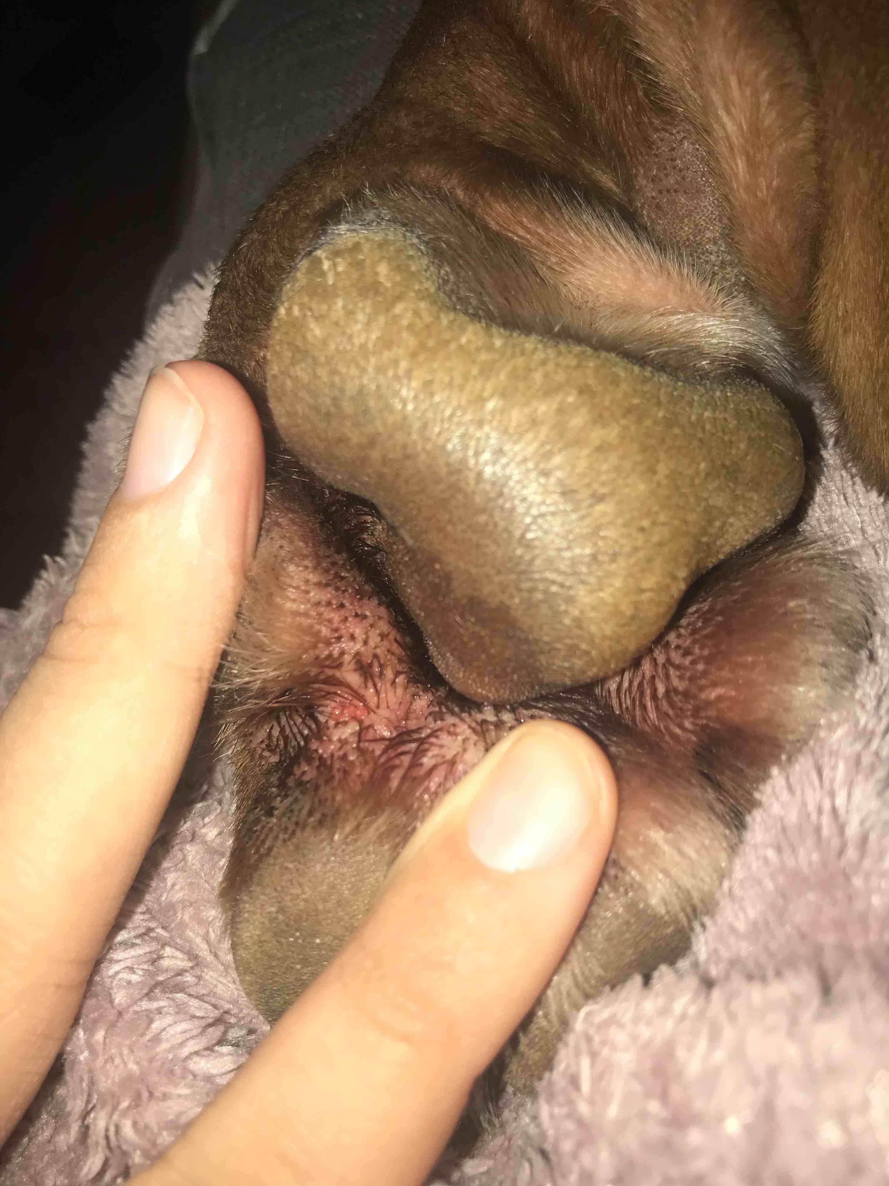 Question details sensitive content