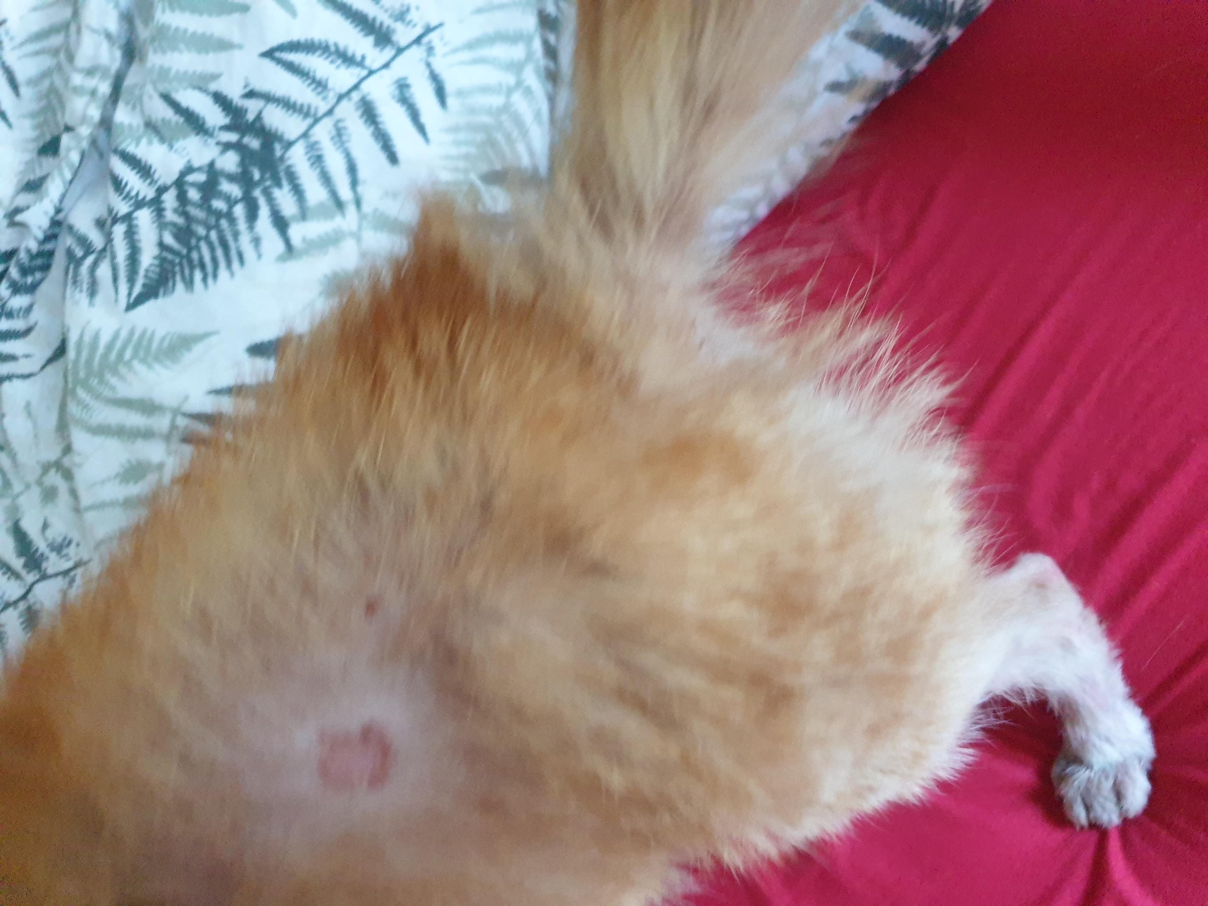 Question details sensitive content