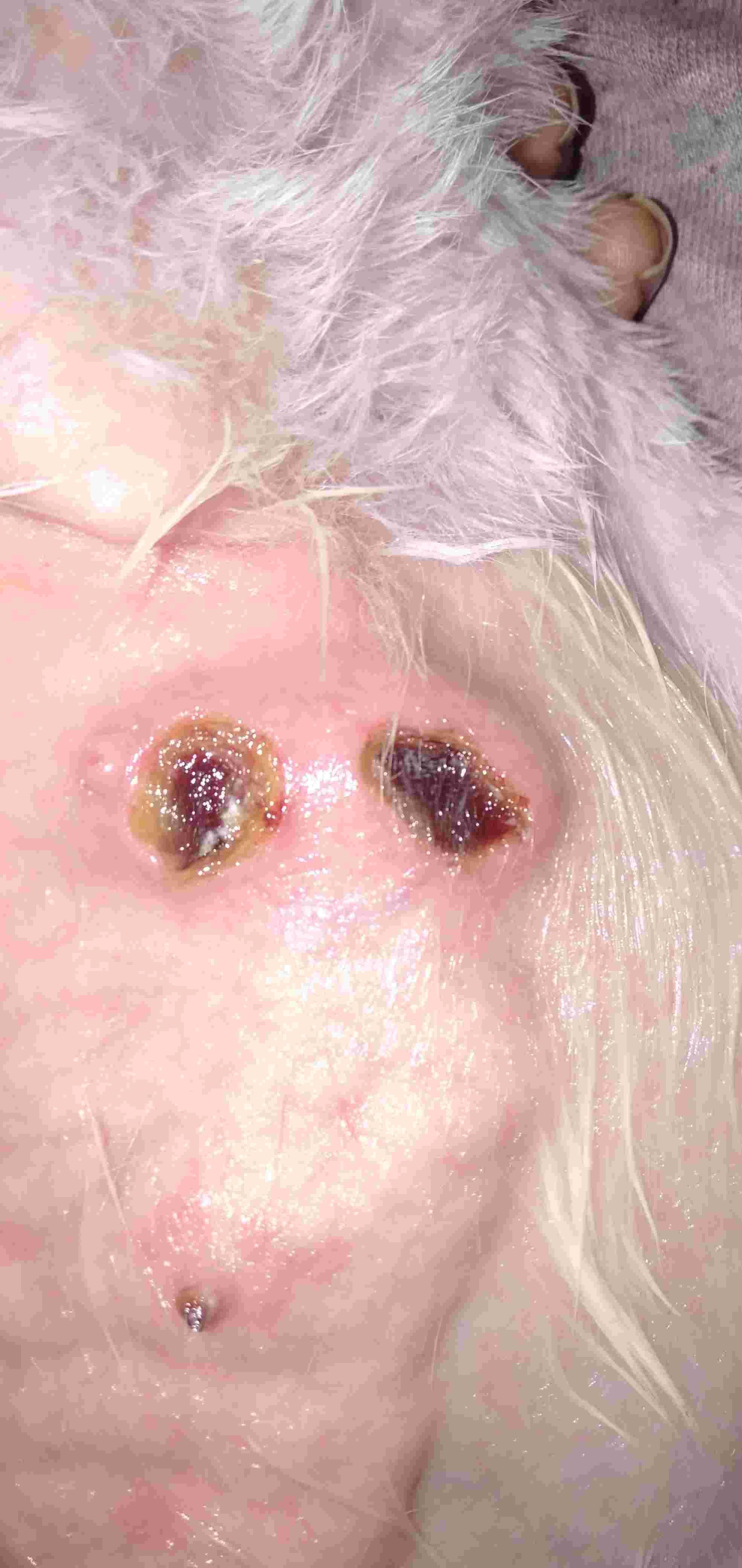 Question details sensitive content