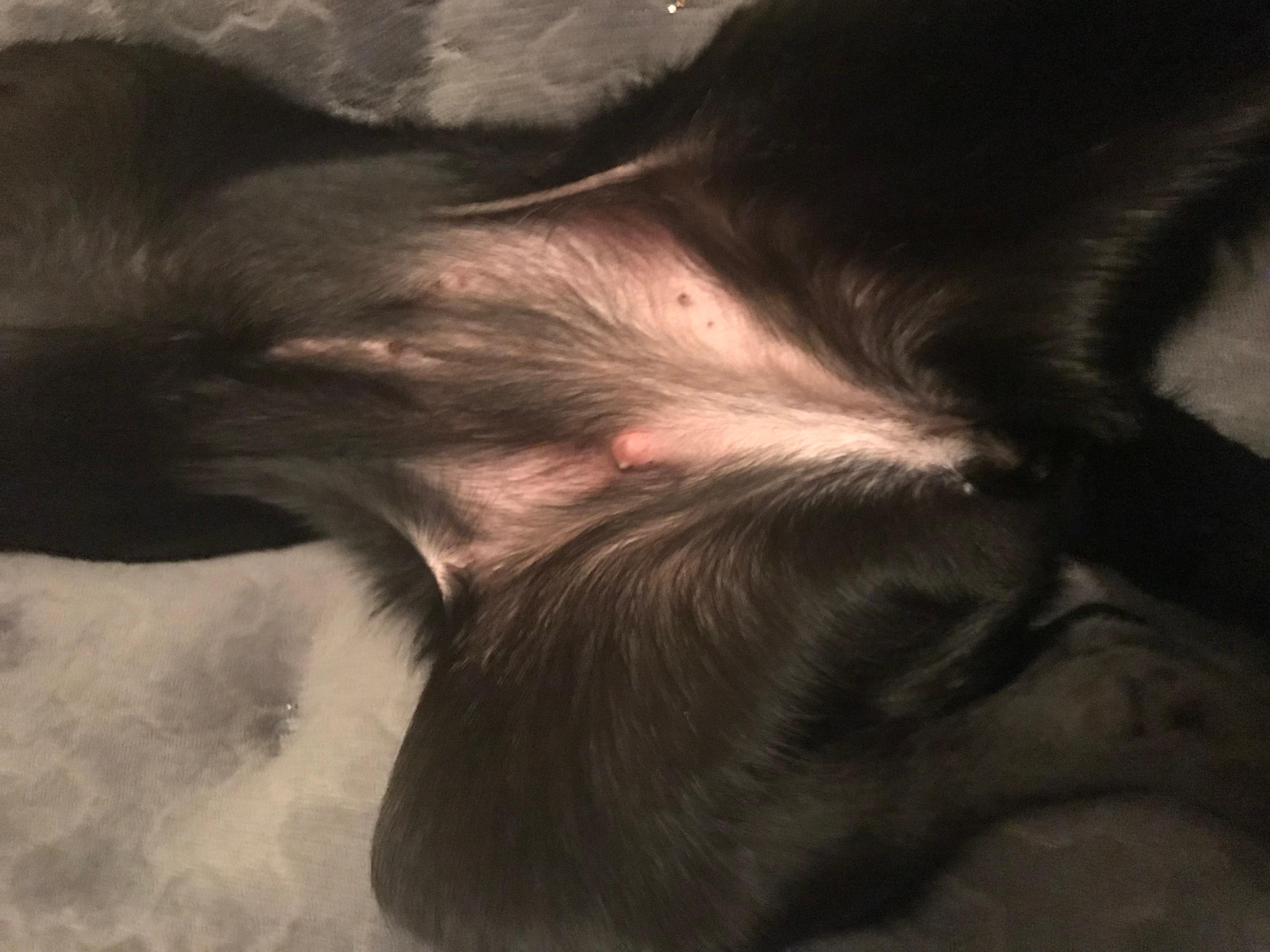 Question details sensitive content