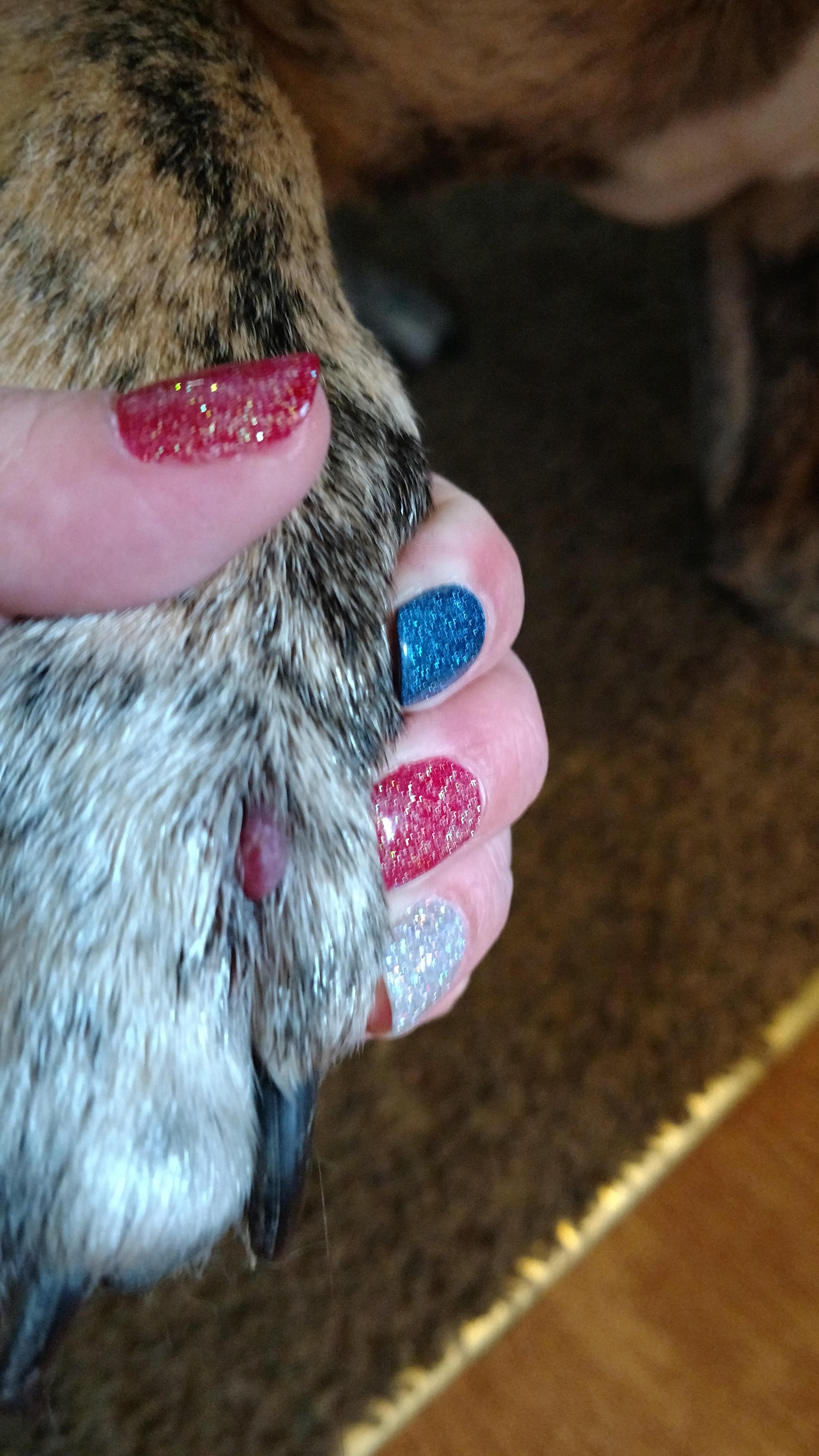 Question details sensitive content