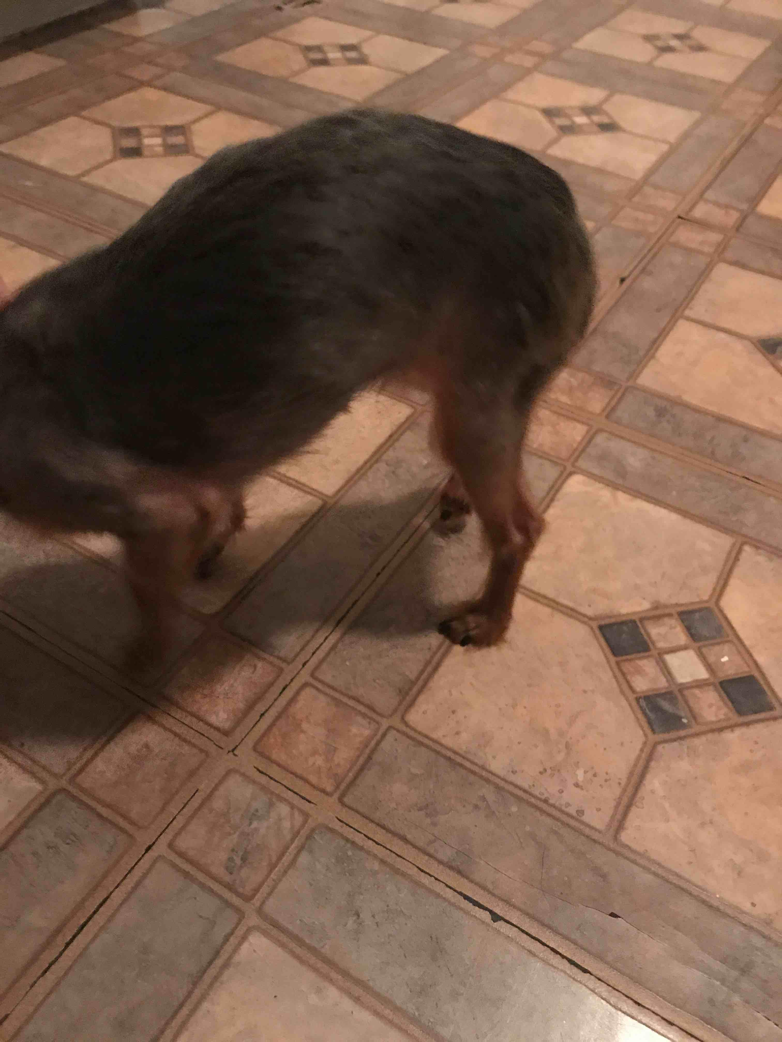 Question details sensitive content