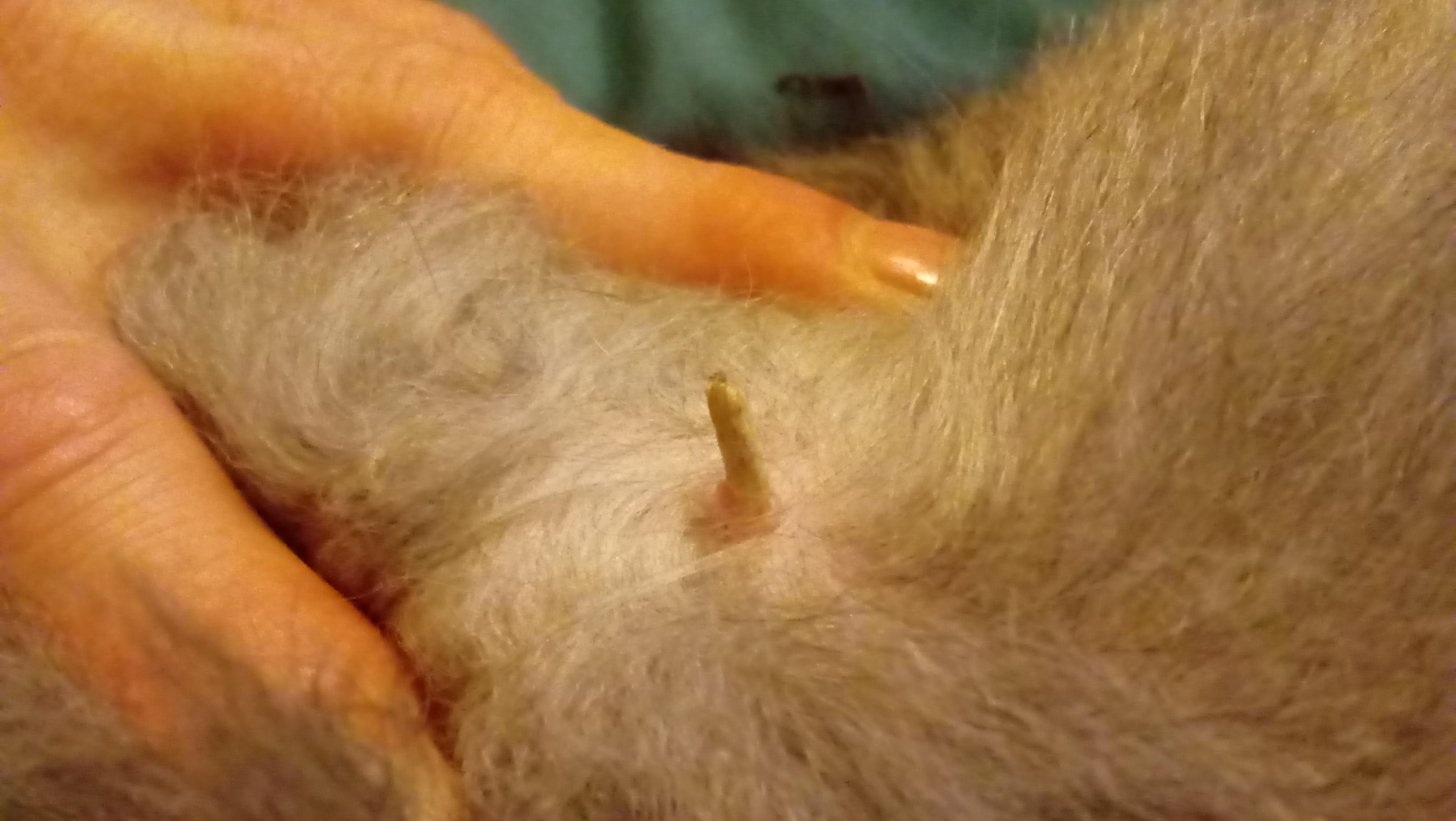 Question details sensitive content