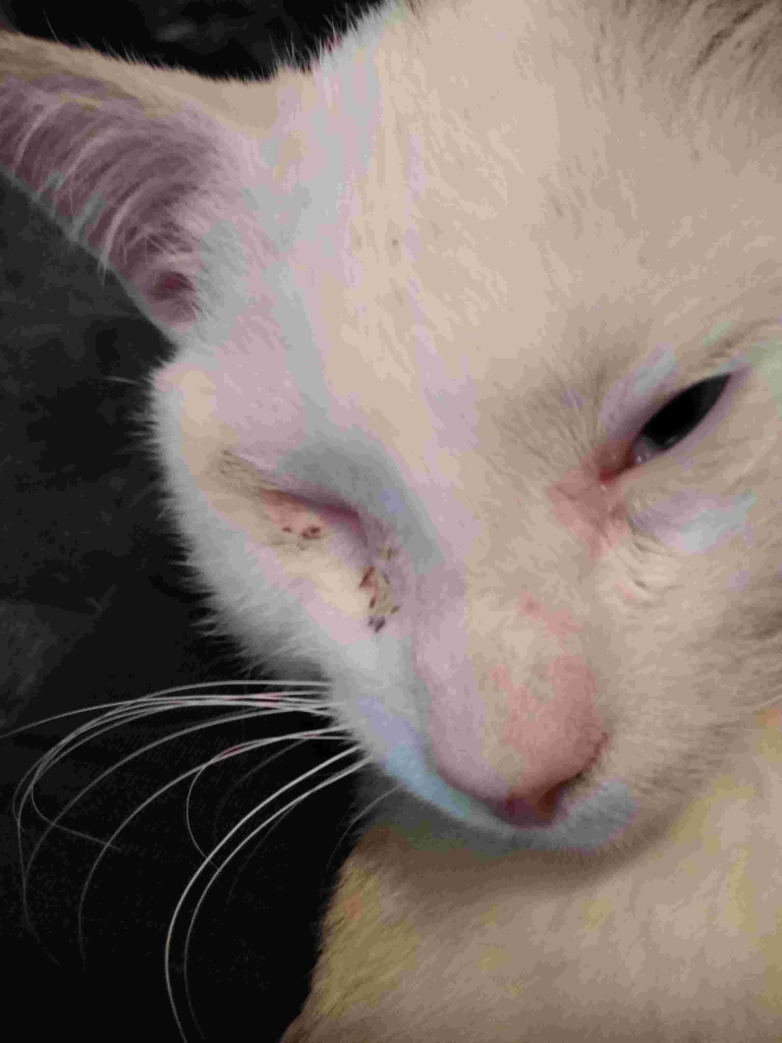 Question details sensitive content