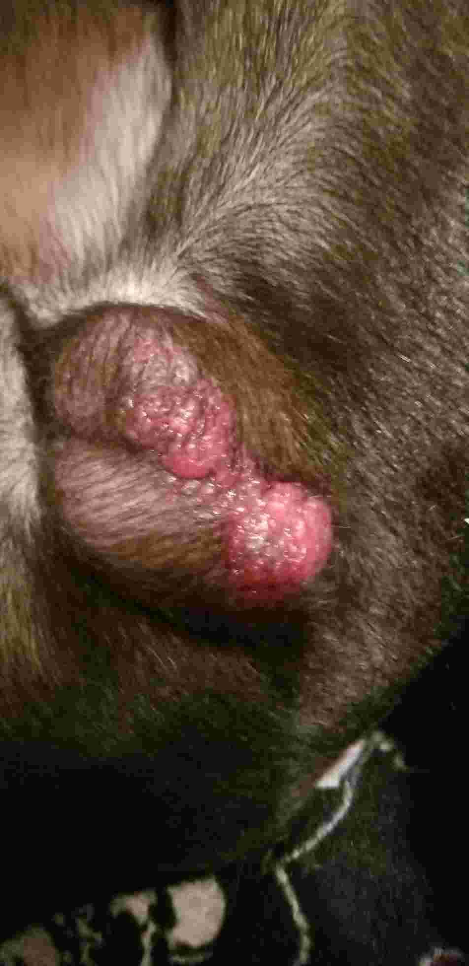 Question details sensitive content