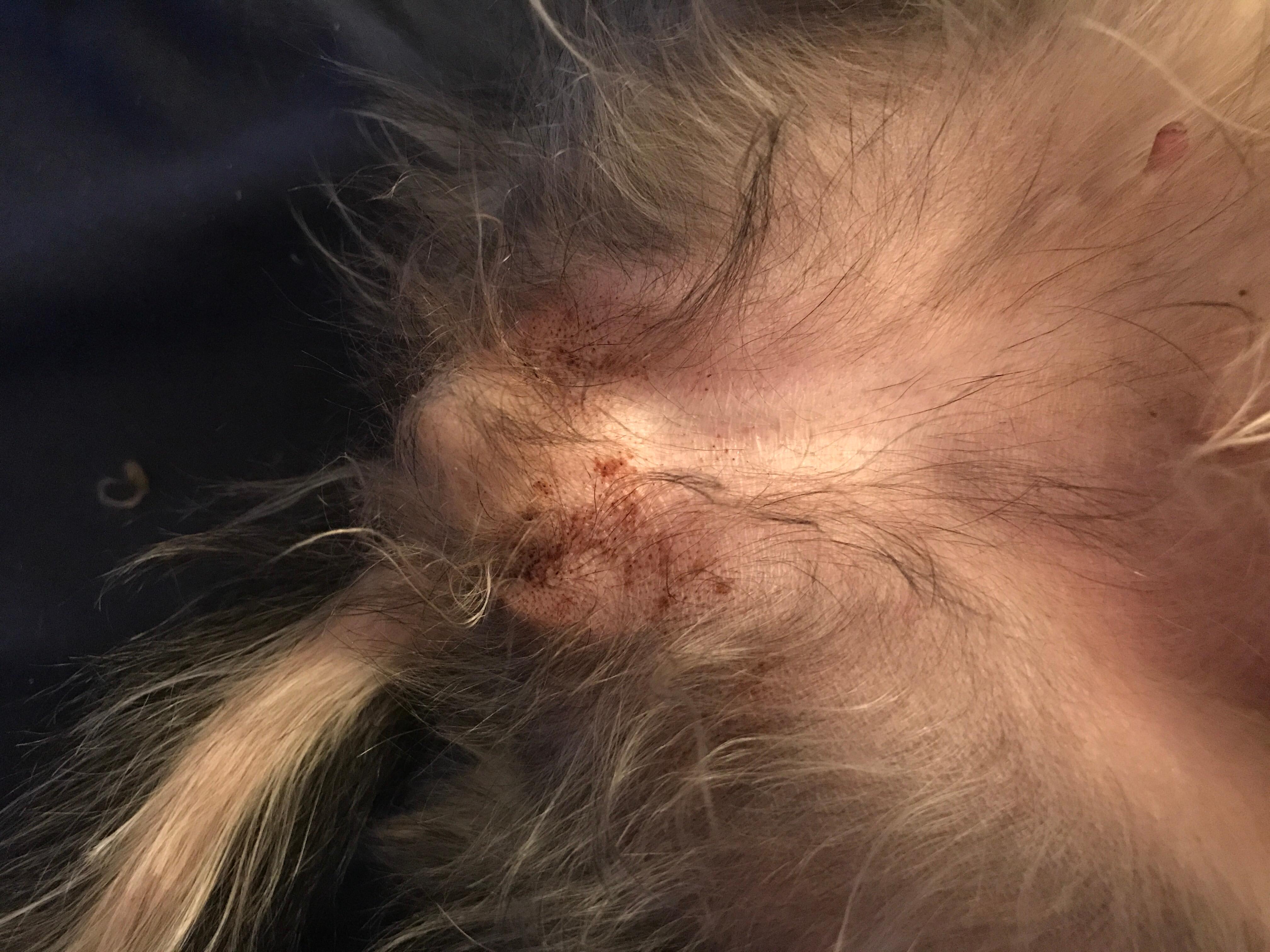 Question details sensitive content