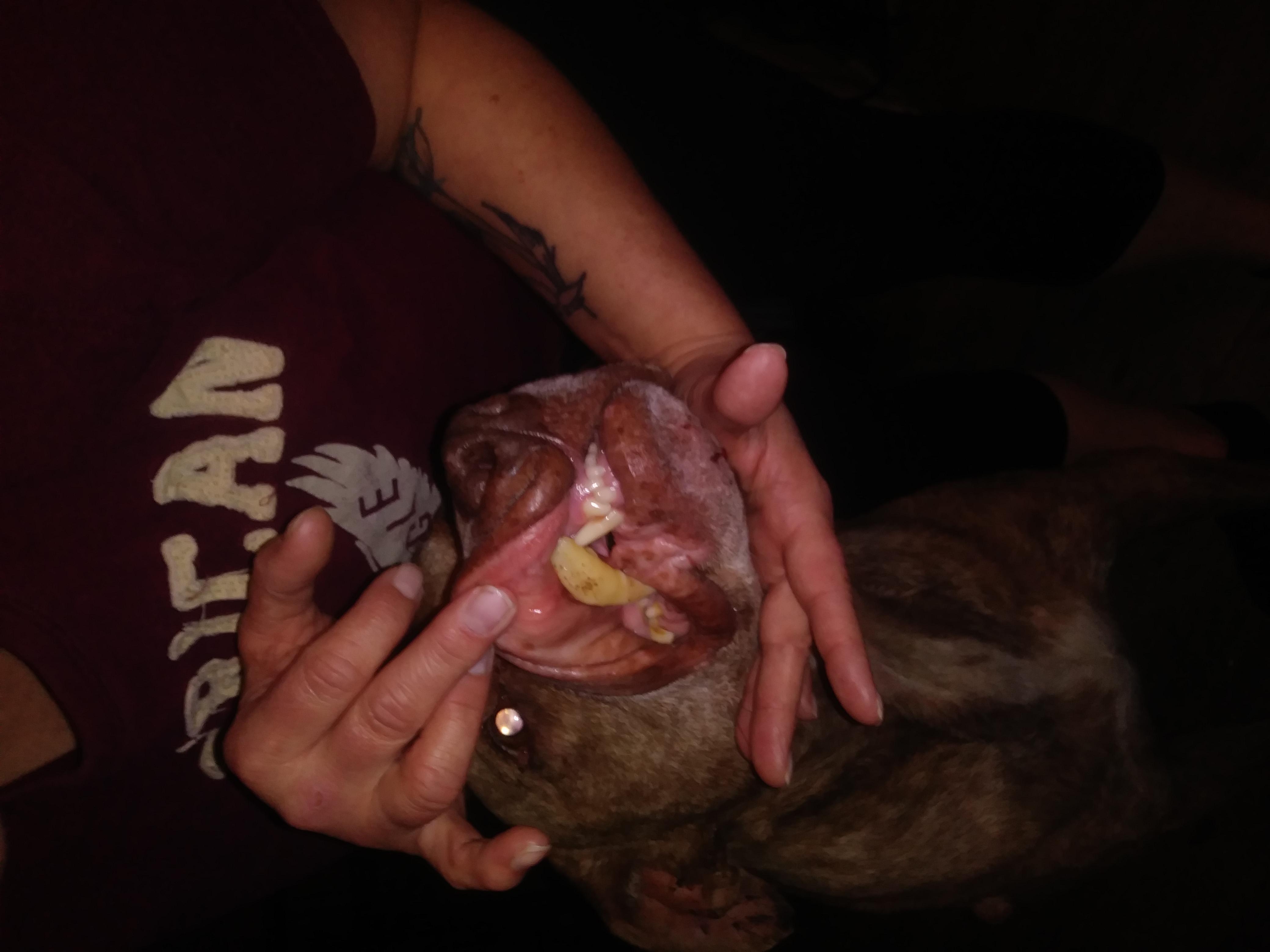 Question details sensitive content