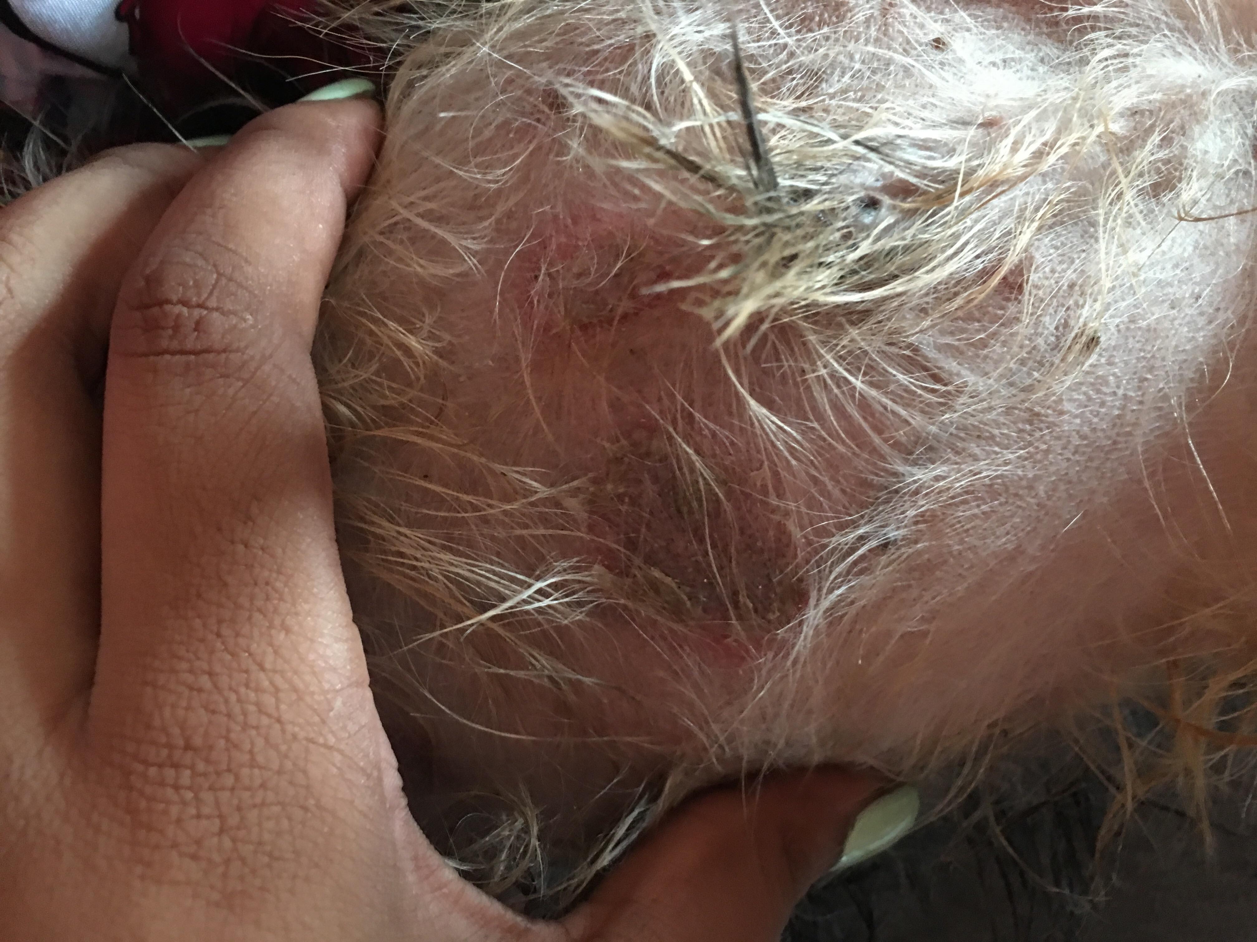 Question details sensitive content