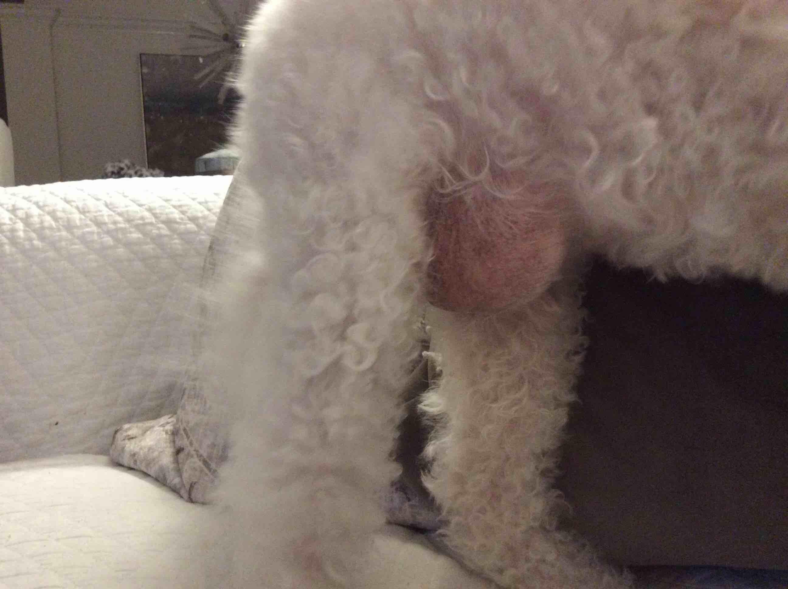 Question details sensitive content