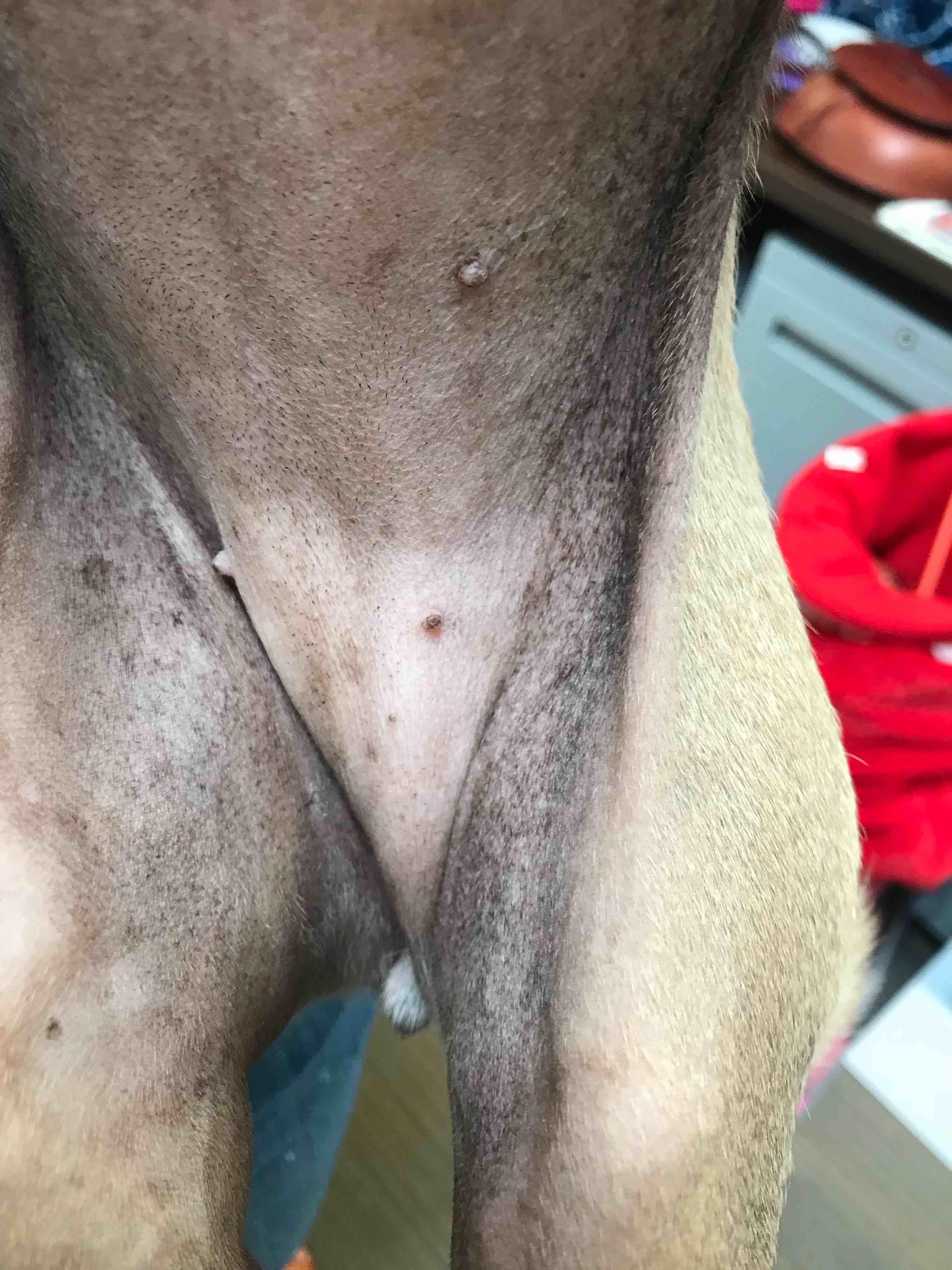 Question details sensitive content