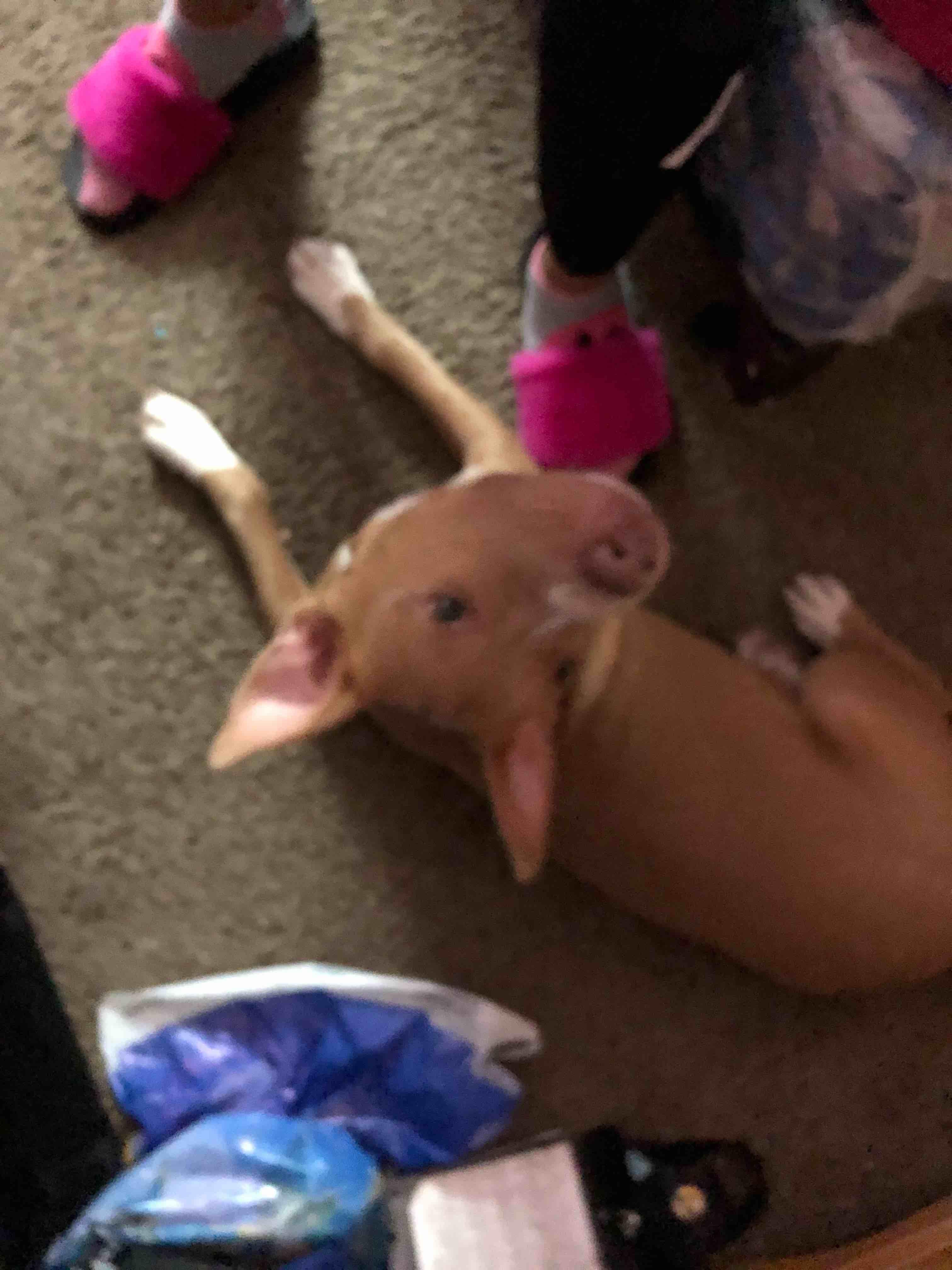 Question details sensitive content